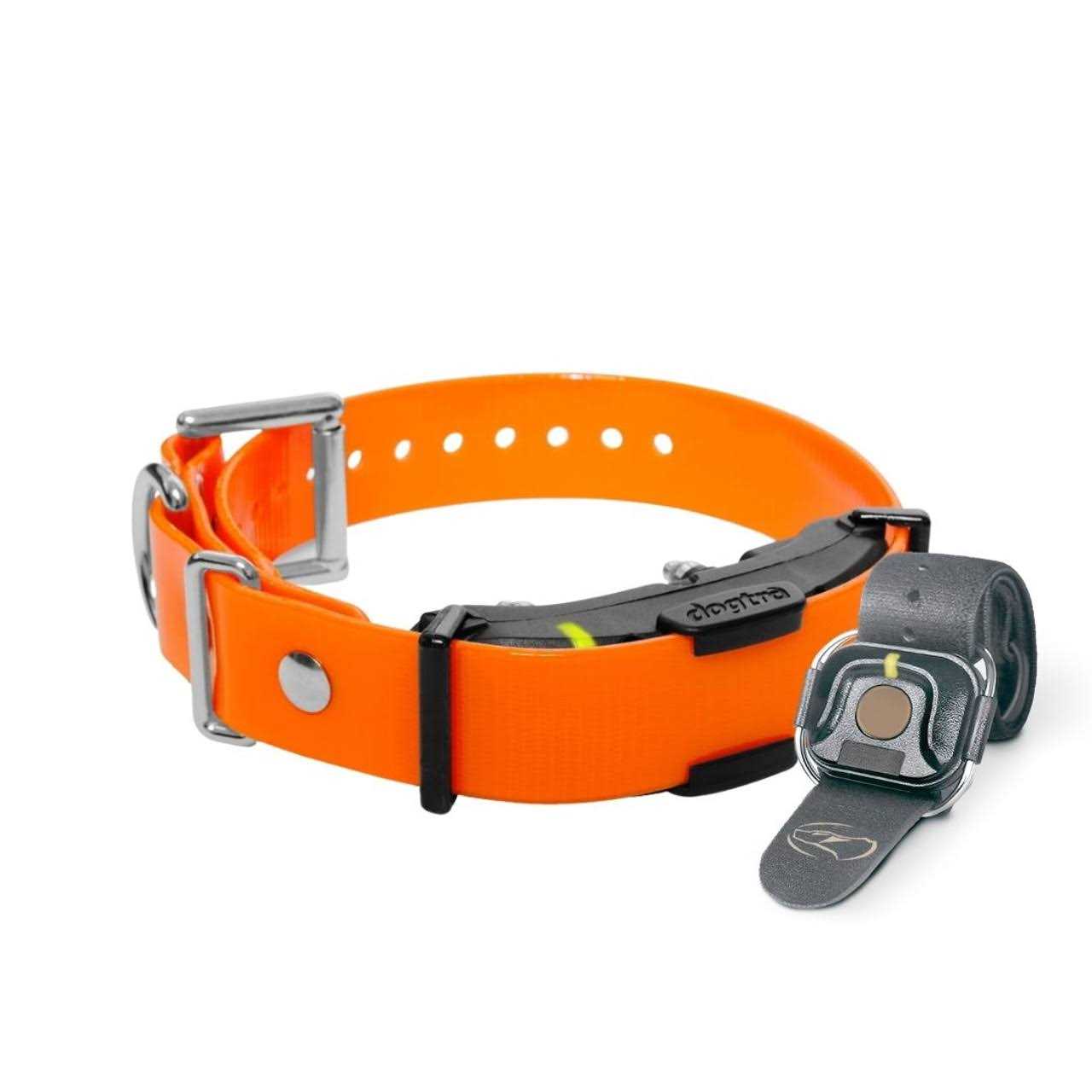 Dogtra ARC Handsfree Plus Additional Receiver - Healthber