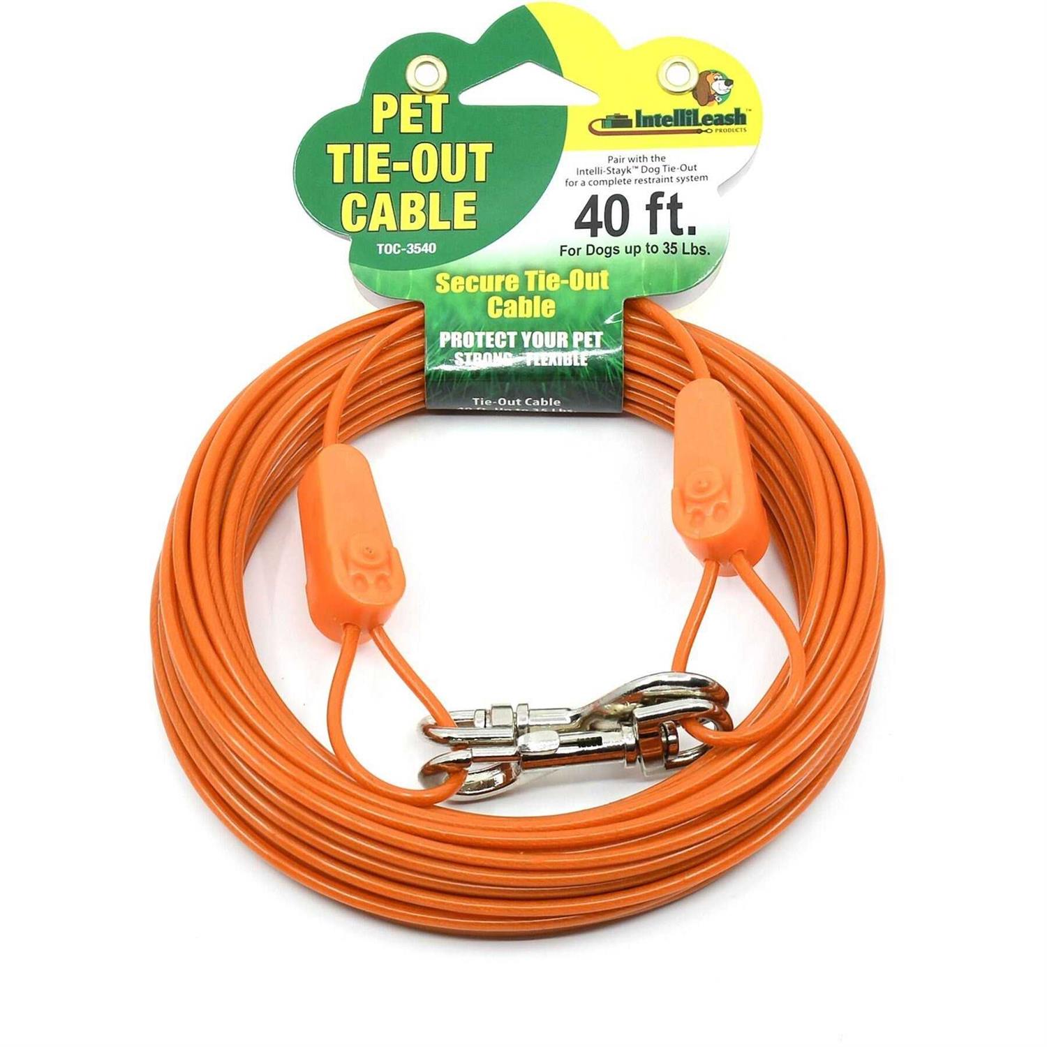 IntelliLeash Tie-Out Cables for Dogs Lengths up to 100 Feet and Breeds of Dogs up to 250 Pounds - Healthber