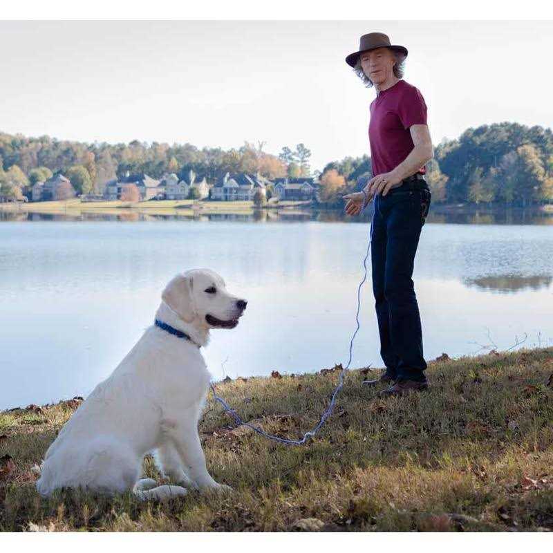 The Perfect Dog Don Sullivan’s Secrets to Training System with DVD Set and command collar - Healthber
