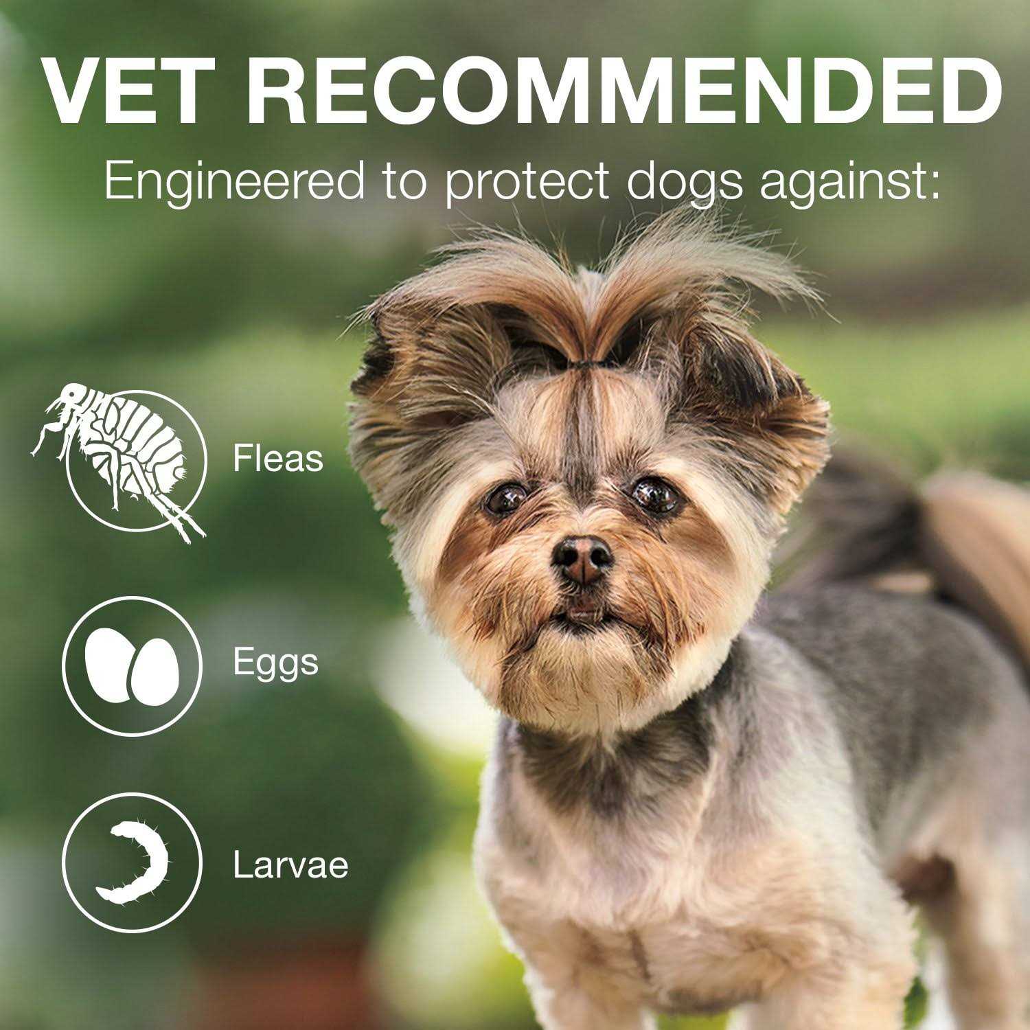 Advantage II for Dogs - Healthber