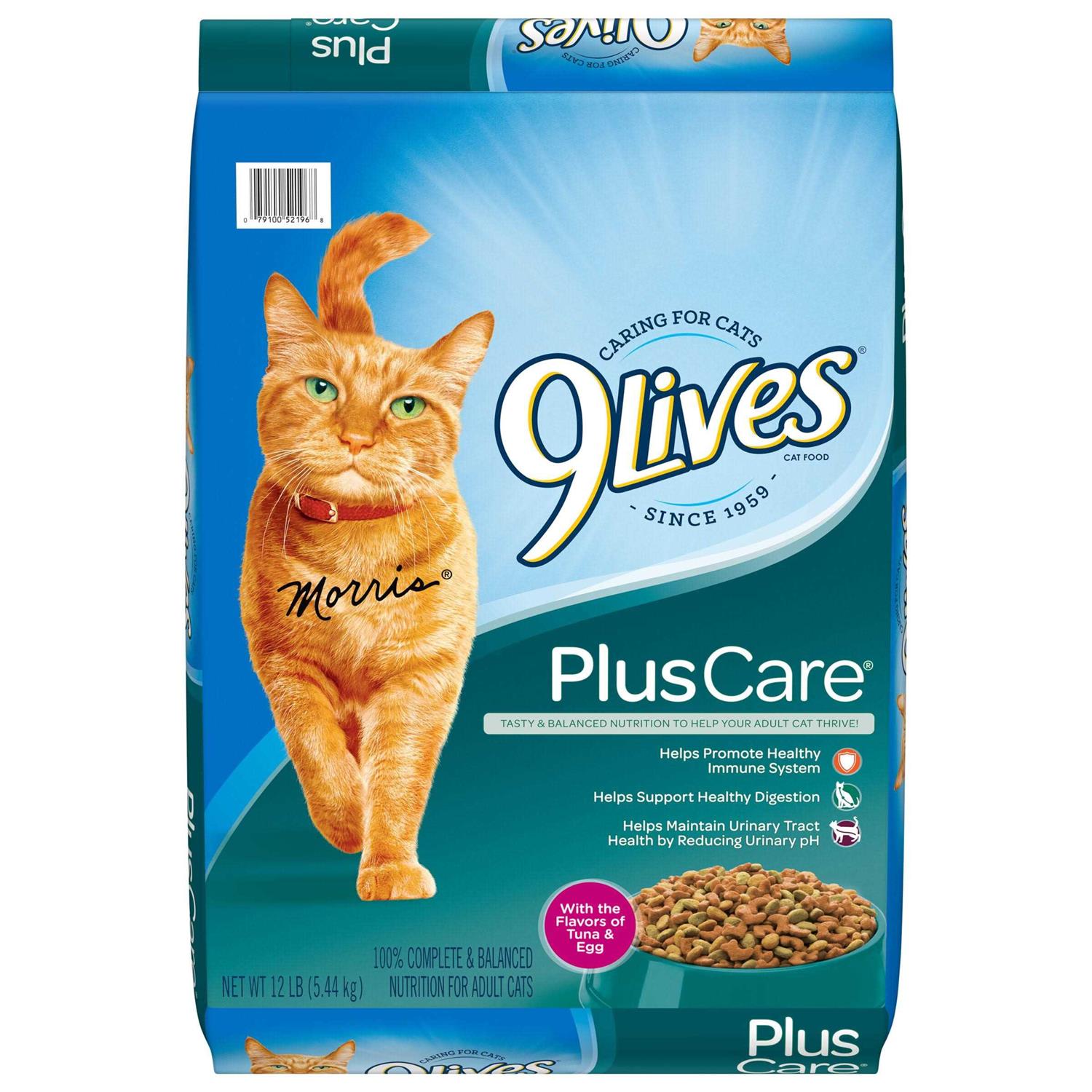 9Lives Plus Care Dry Cat Food - Healthber