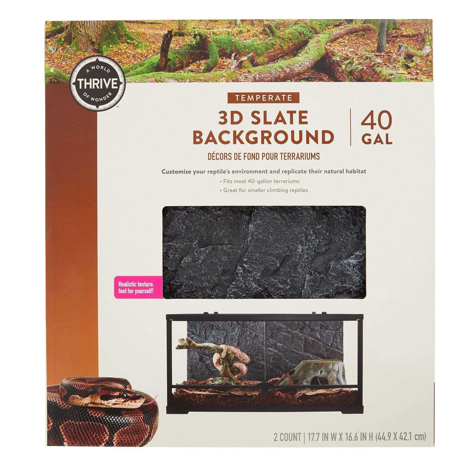 Thrive Temperate 3D Slate Background - Healthber