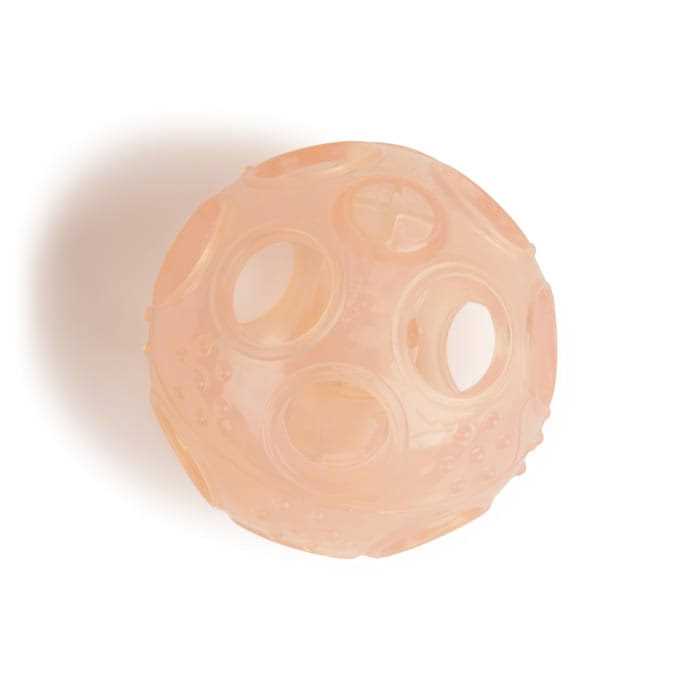Leaps & Bounds Little Chews Treat Dispenser Ball Puppy Toy - Healthber