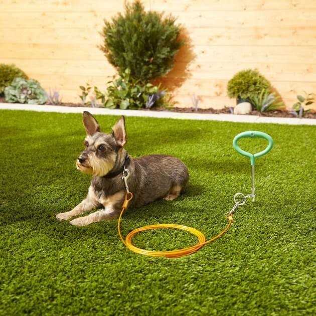 Frisco Tie Out Cable - Healthber
