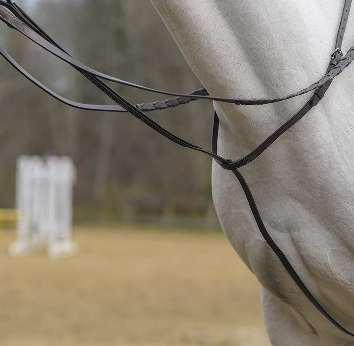 Shires Standing Martingale, Havana - Healthber