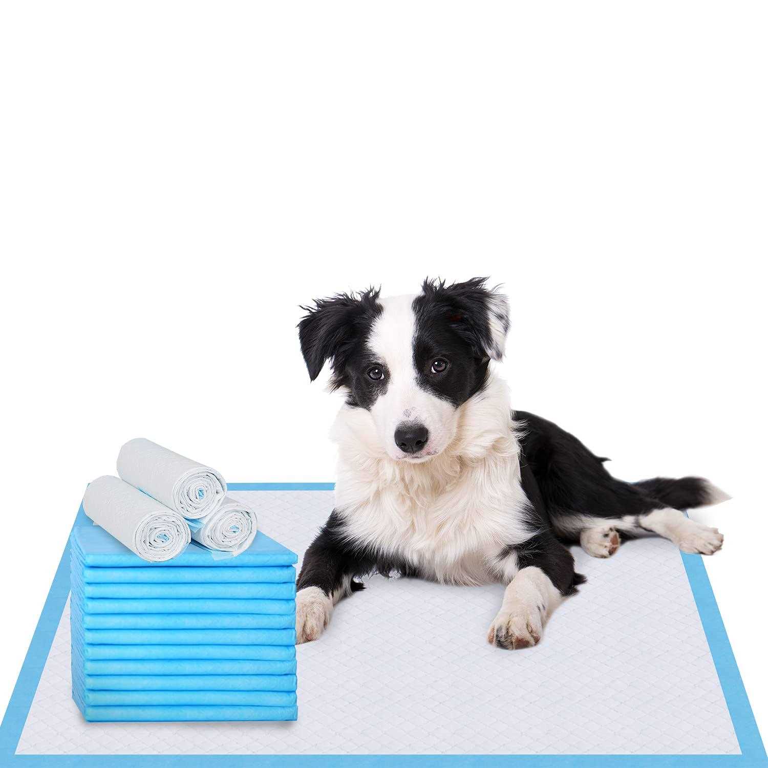 IMMCUTE Puppy Pee Pads Dog Pee Training Pads Super Absorbent & Leak-Proof - Healthber