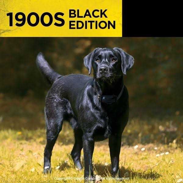 Dogtra 1900S Black Edition 1 Mile Remote Trainer - Healthber