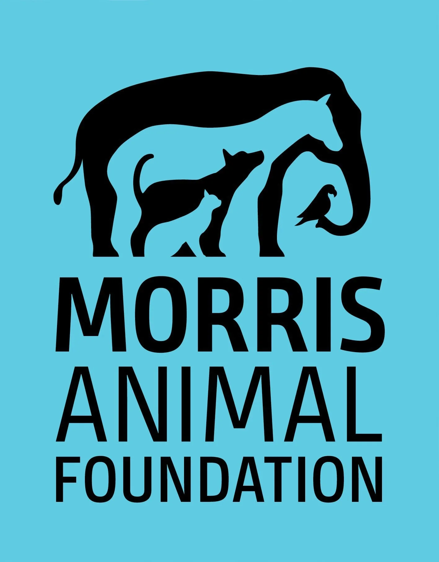 Morris Animal Foundation Donation - Healthber