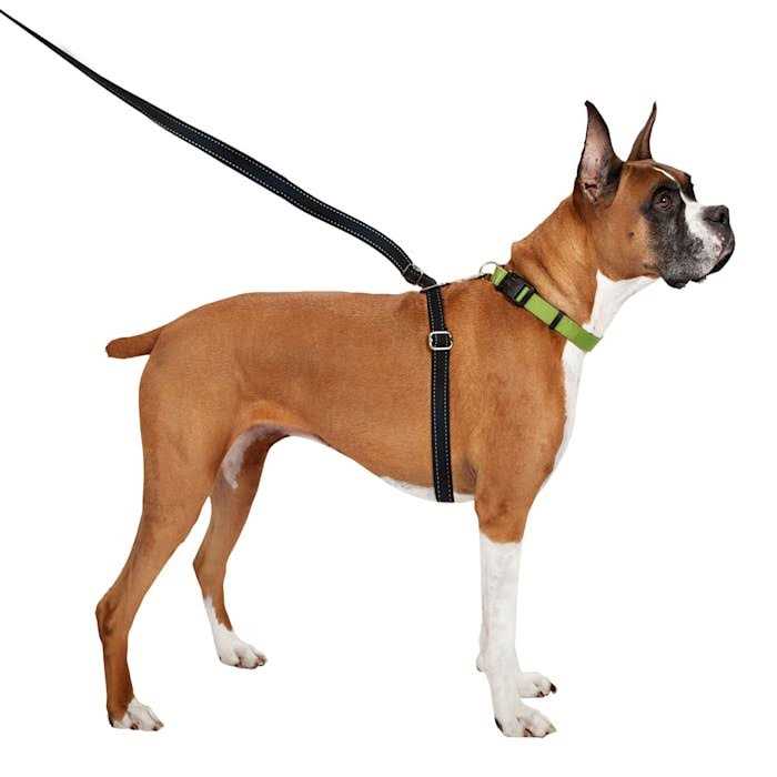 ThunderLeash Retractable Dog Leash - Healthber