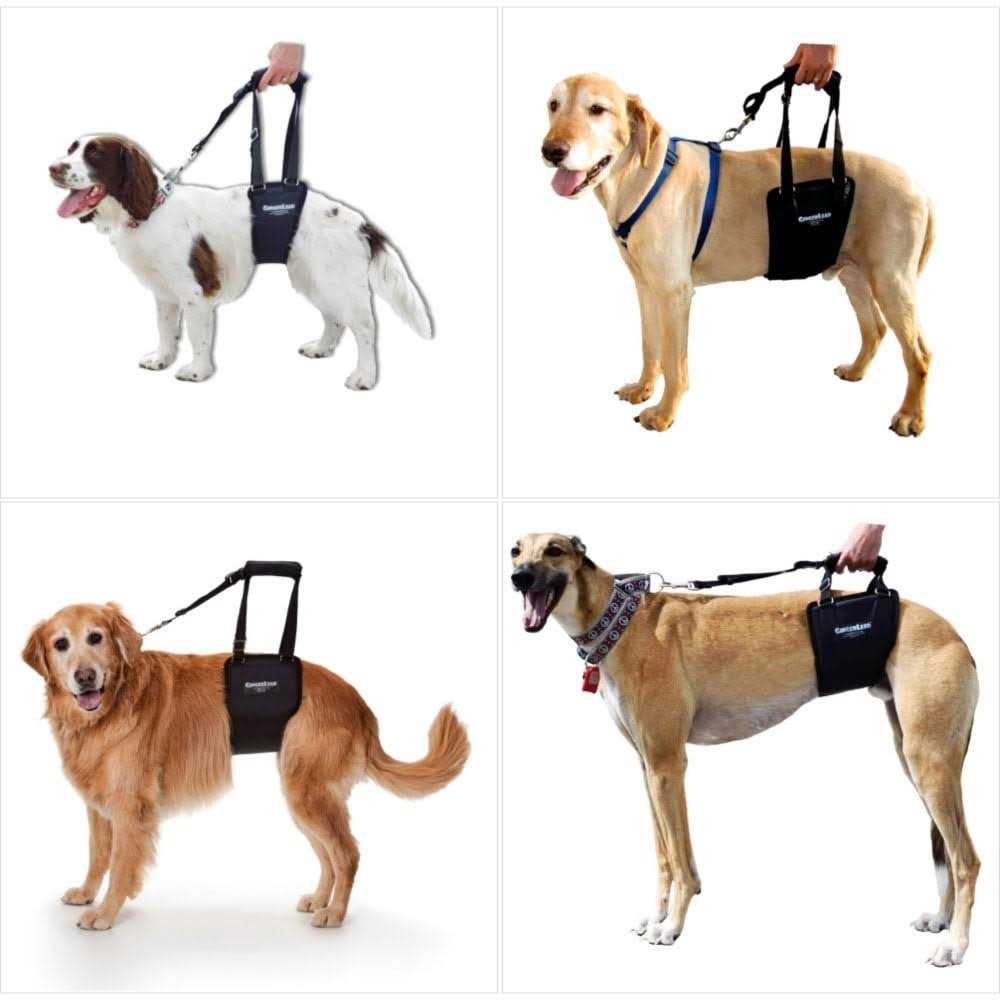 GingerLead Dog Support Rehabilitation Harness - Healthber