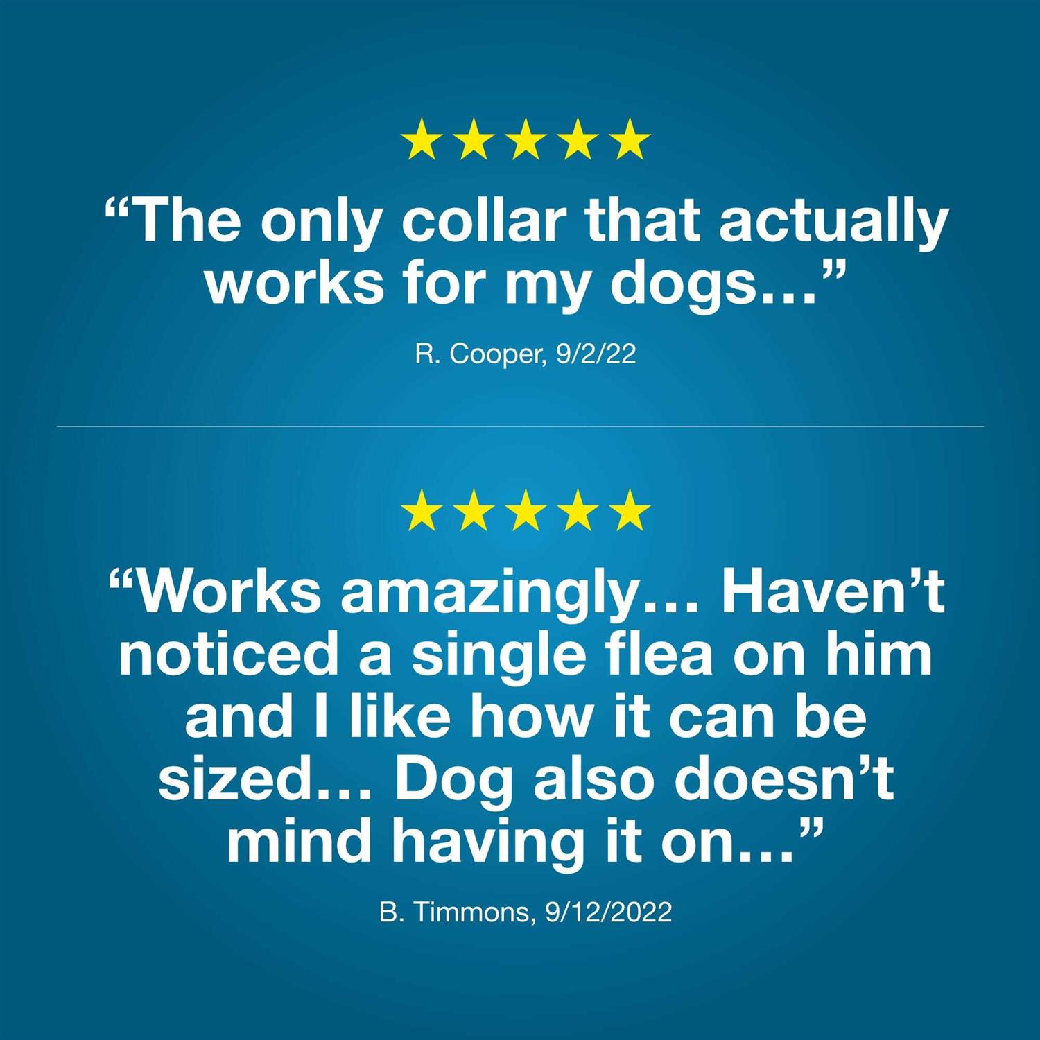 Bayer Seresto Flea and Tick Collar for Dogs - Healthber
