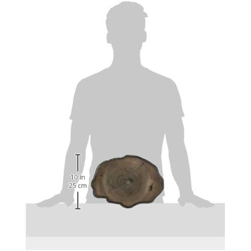 Zoo Med Repti Rock Food Dish - Healthber