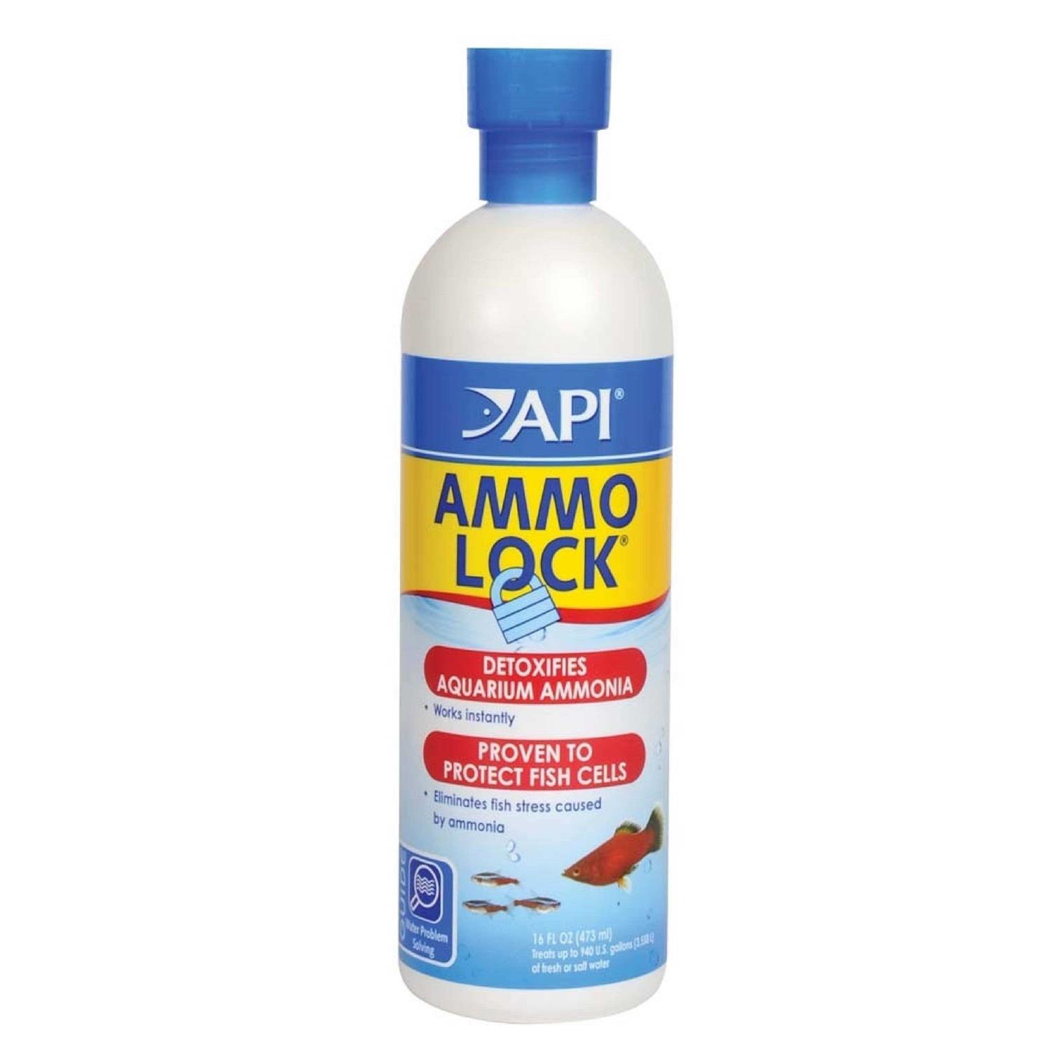 API Ammo Lock Ammonia - Healthber