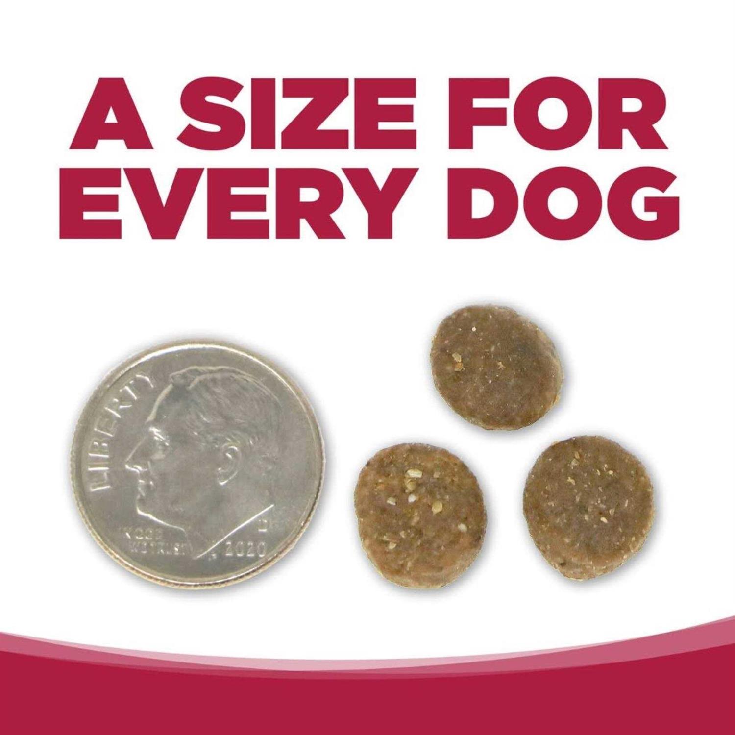 NutriSource Grain-Free Seafood Select Dry Dog Food - Healthber
