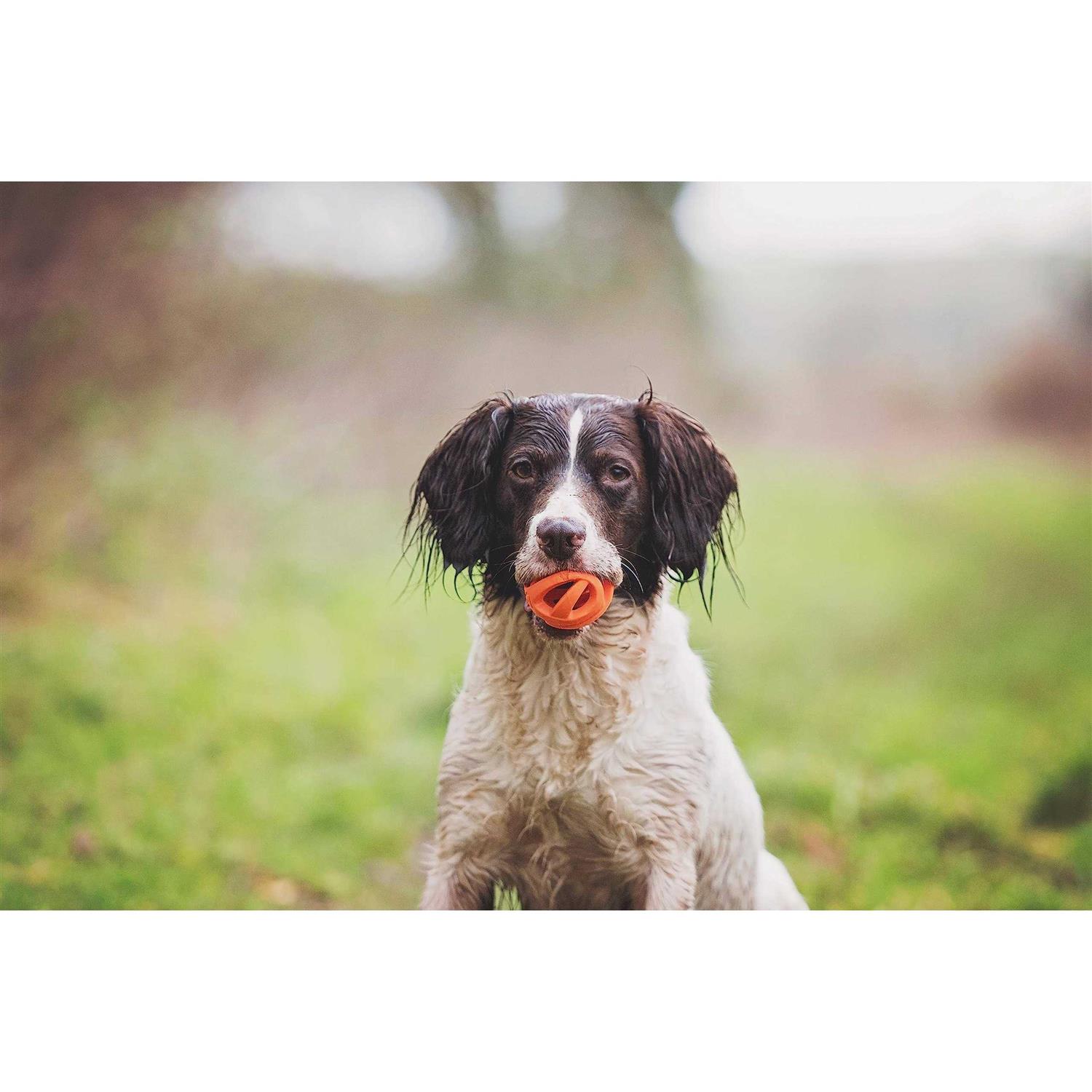 Chuckit! Breathe Right Fetch Ball - Healthber