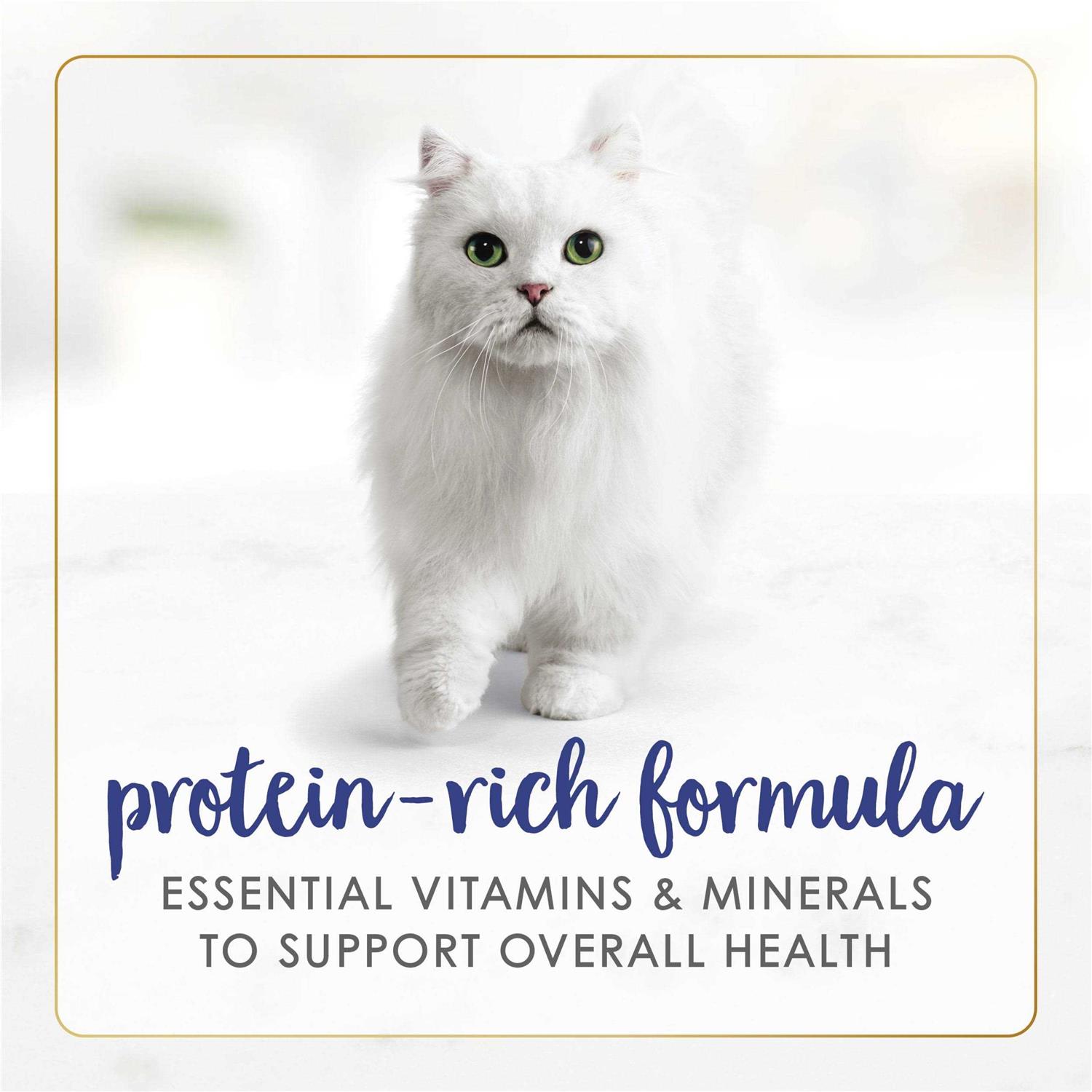Fancy Feast Classic Paté Wet Cat Food - Healthber