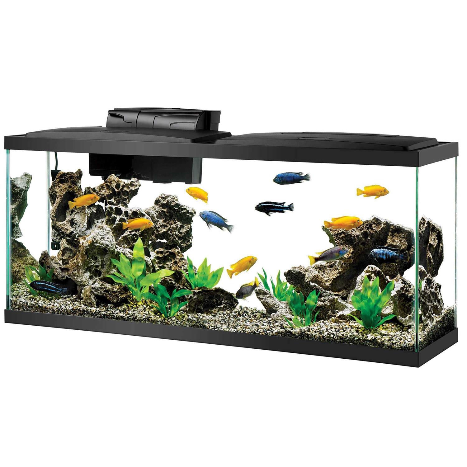 Aqueon Aquarium Kit LED - Healthber