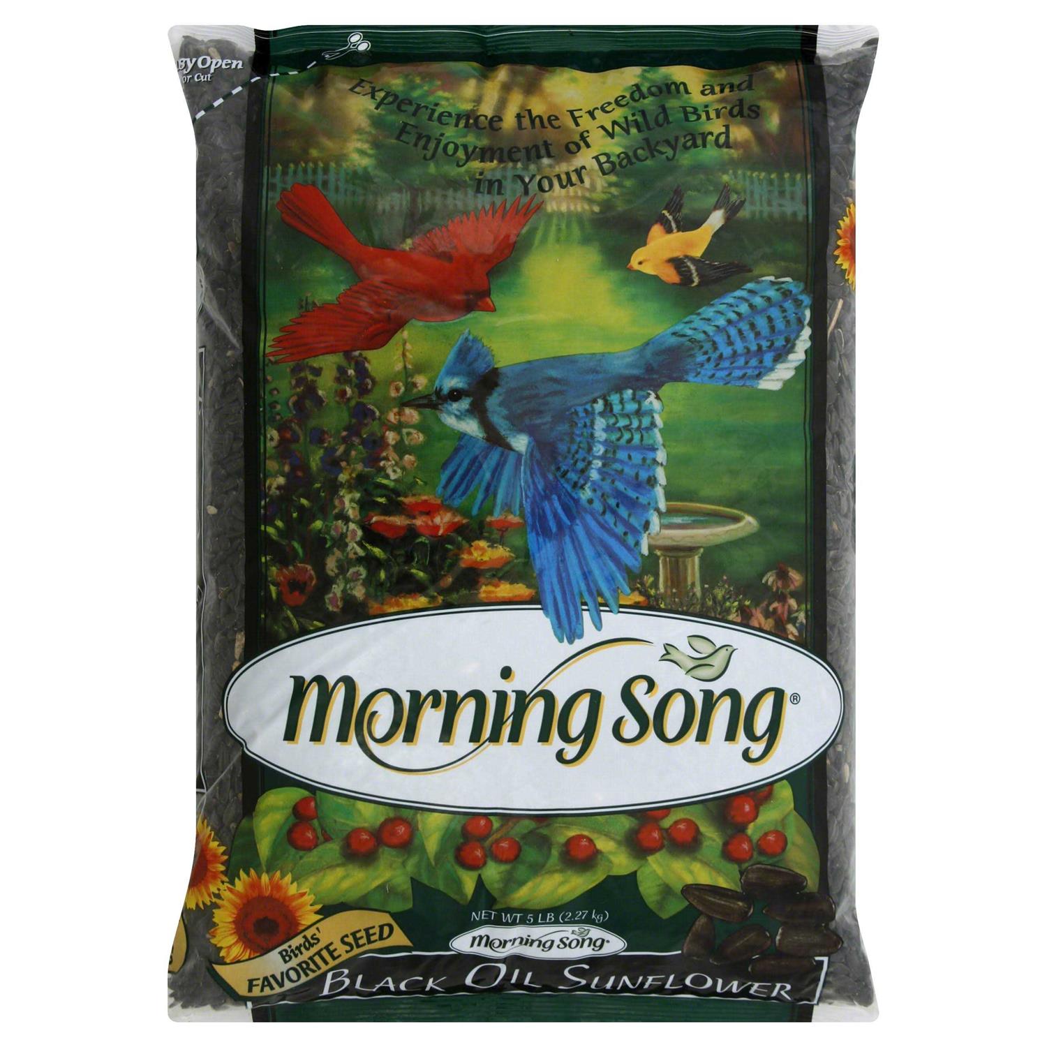 Morning Song Black Oil Sunflower Wild Bird Food - Healthber