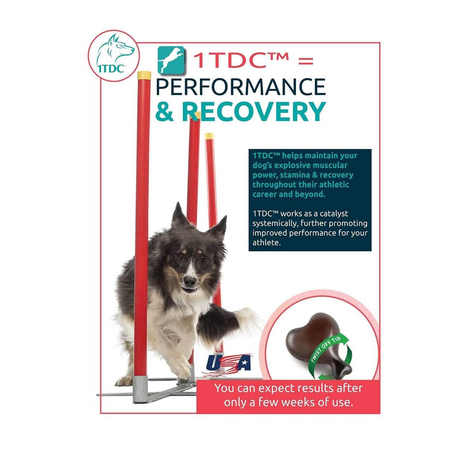 1-TDC Dual Action Periodontal & Joint Health for Cats & Dogs – 60 Soft Gels - Healthber