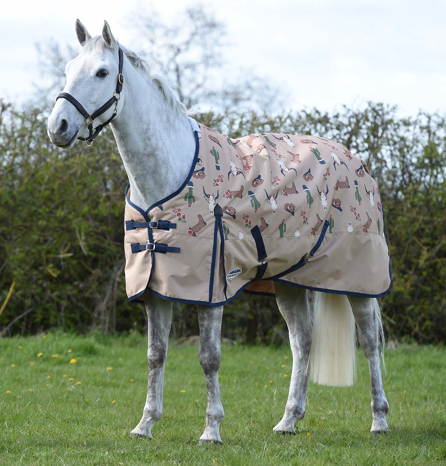 WeatherBeeta ComFITec Essential Standard Neck Medium Weight Horse Blanket, Sante Fe Sands - Healthber