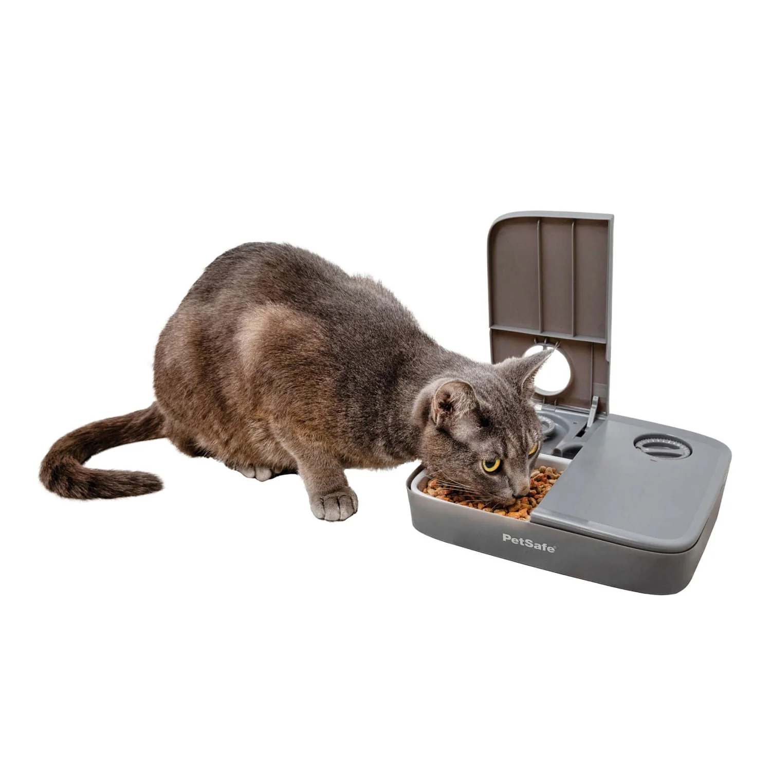 PetSafe Automatic 2 Meal Pet Feeder - Healthber