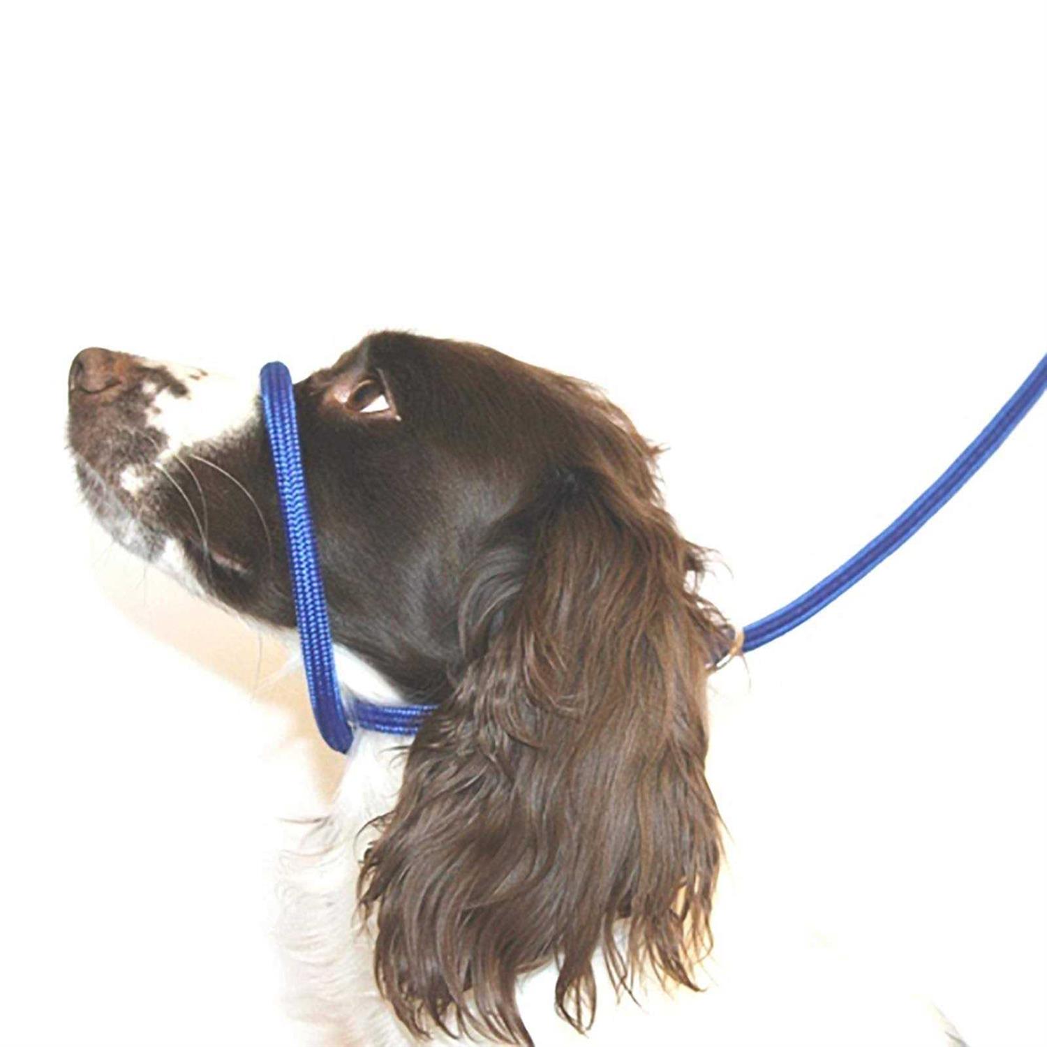 Dog & Field Figure 8 Anti Pull LeashHalterHead collar One Size Fits All - Healthber