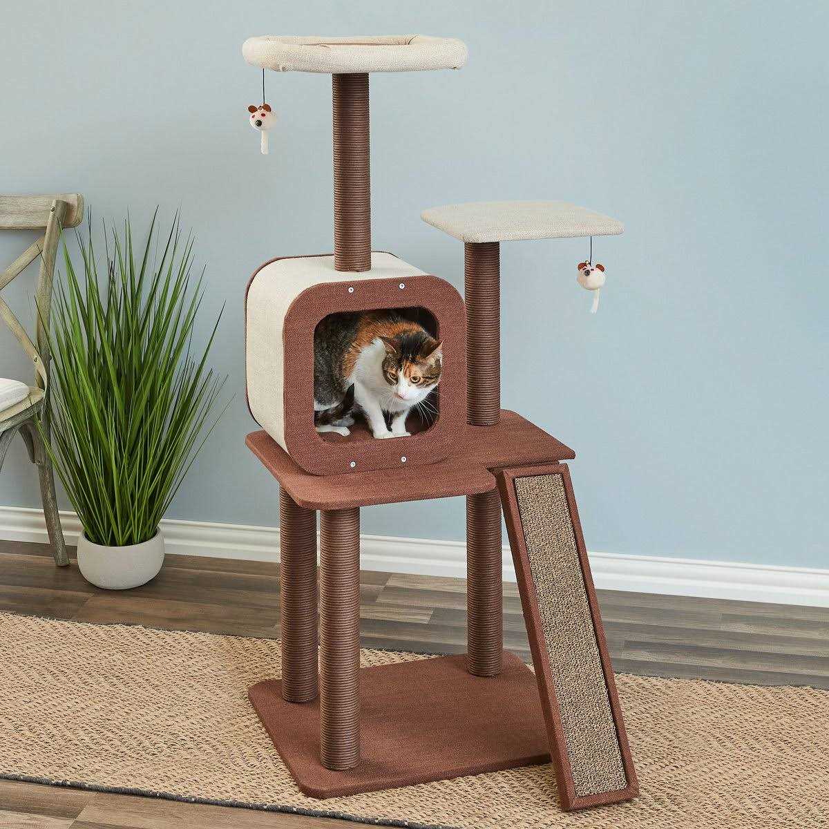Two by Two Redwood Cat Tree and Condo - Healthber
