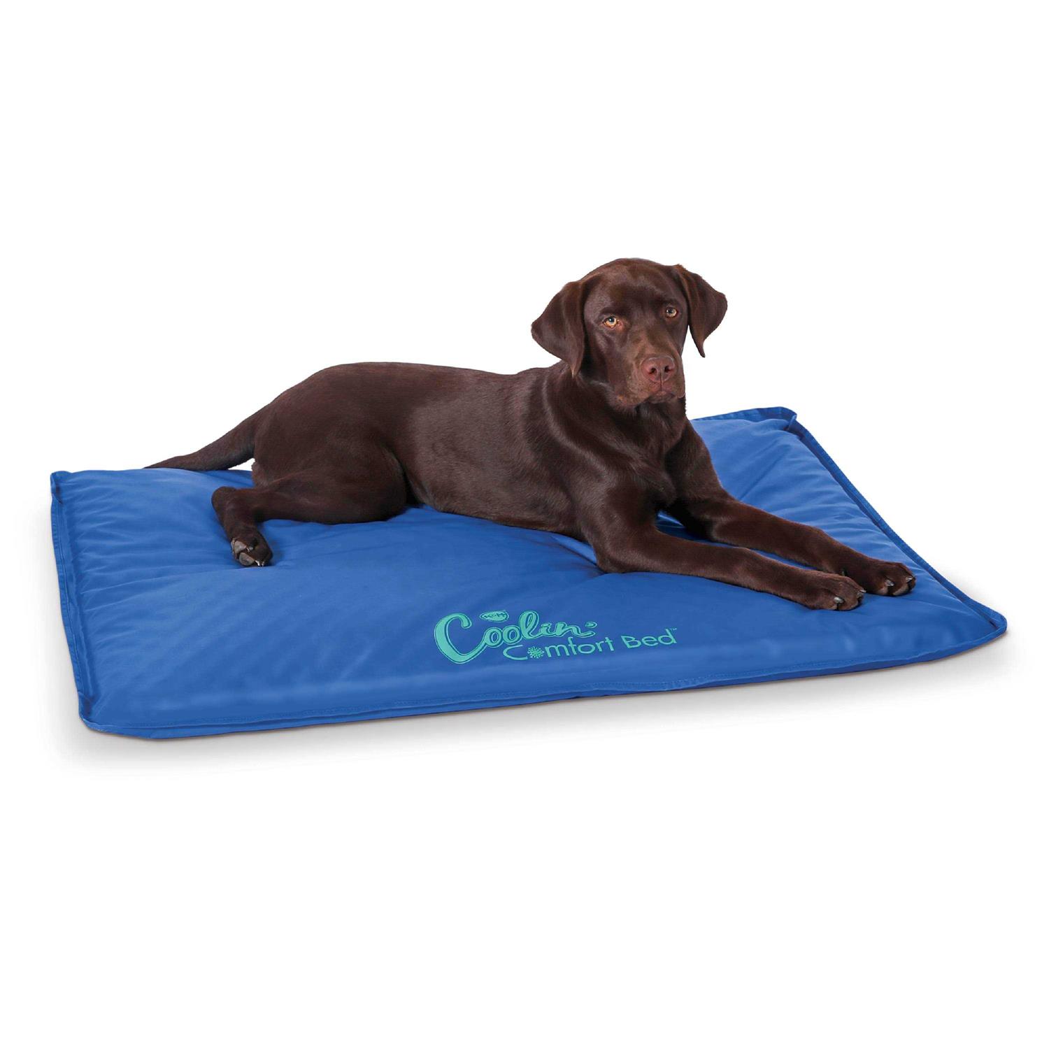 K&H Pet Products Coolin Comfort Bed - Healthber