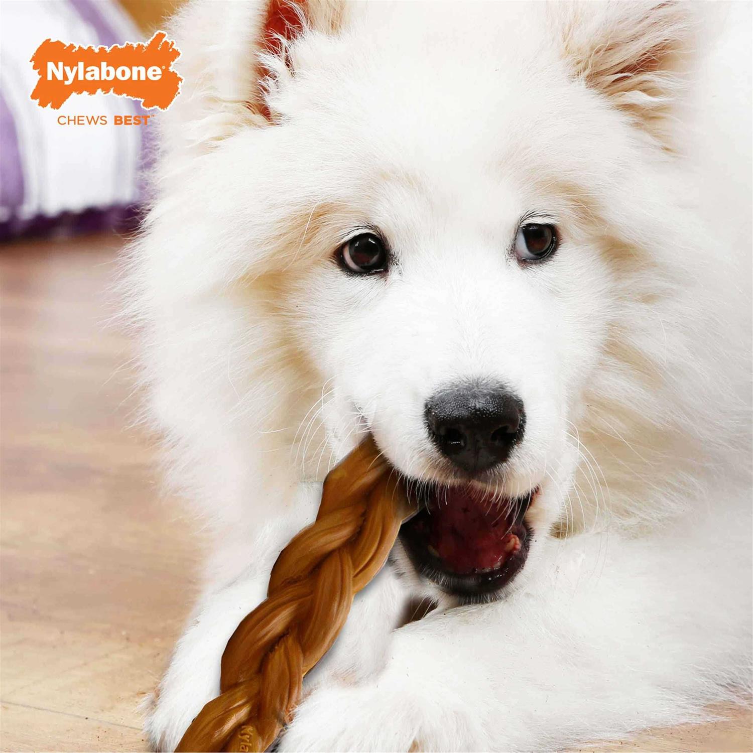 Nylabone Power Chew Alternative Braided Bully Stick - Healthber