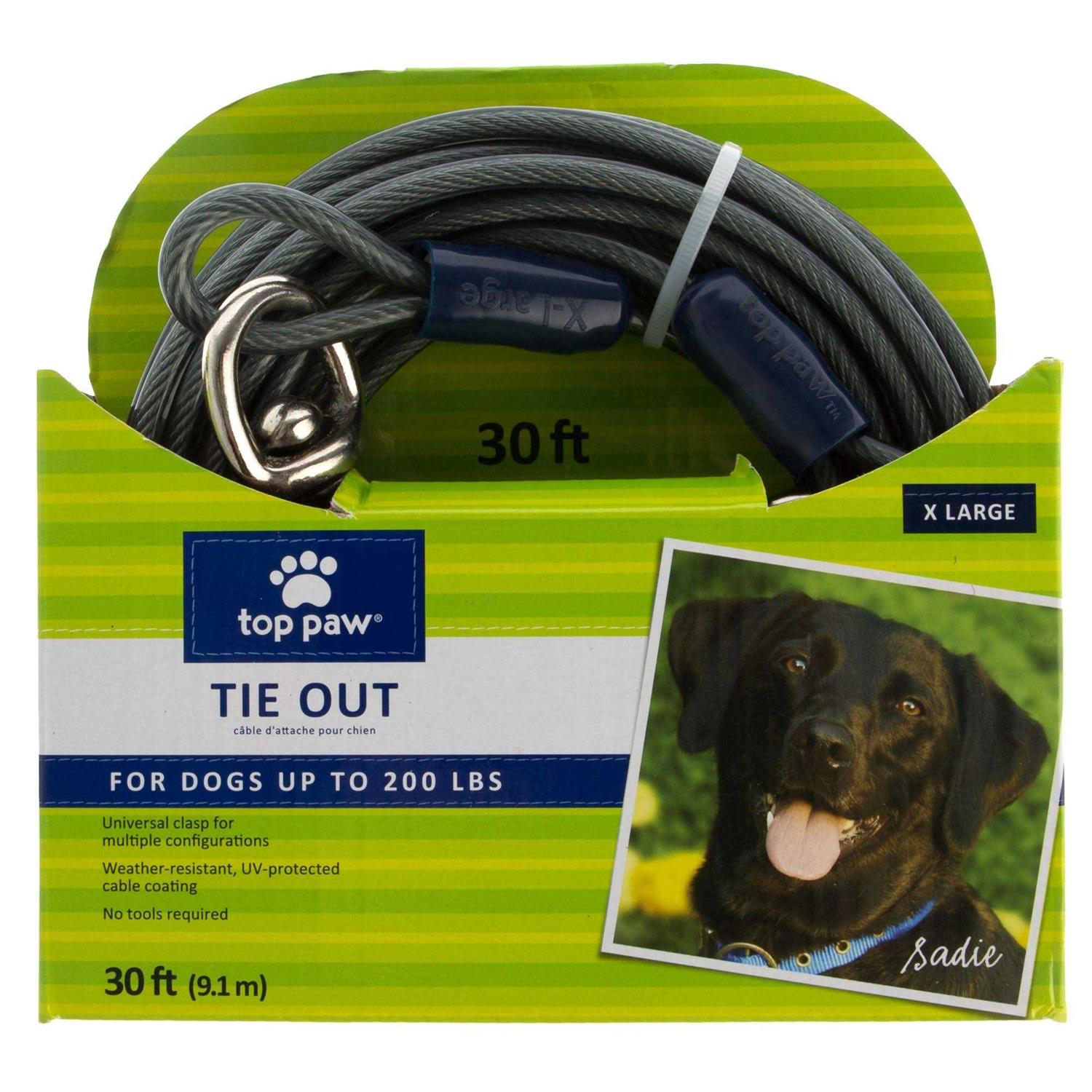 Top Paw Dog Tie Out - Healthber