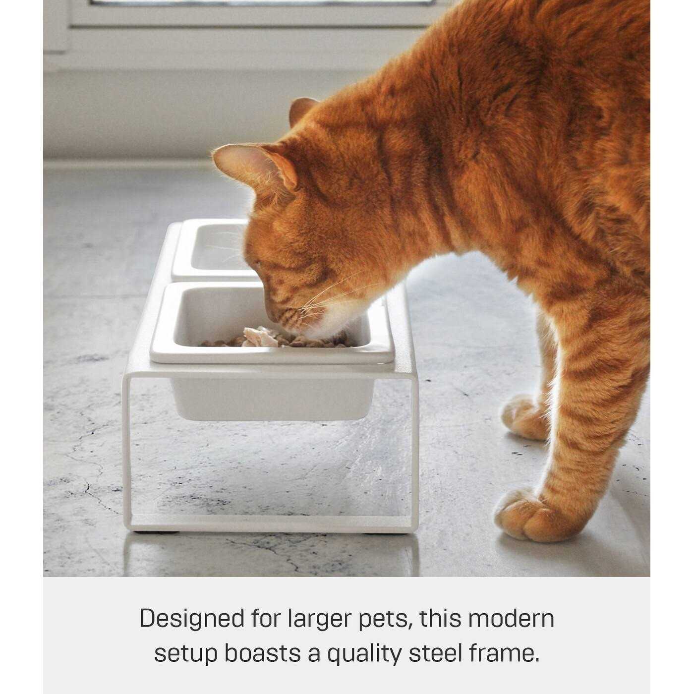 Yamazaki Pet Food Bowl - Healthber