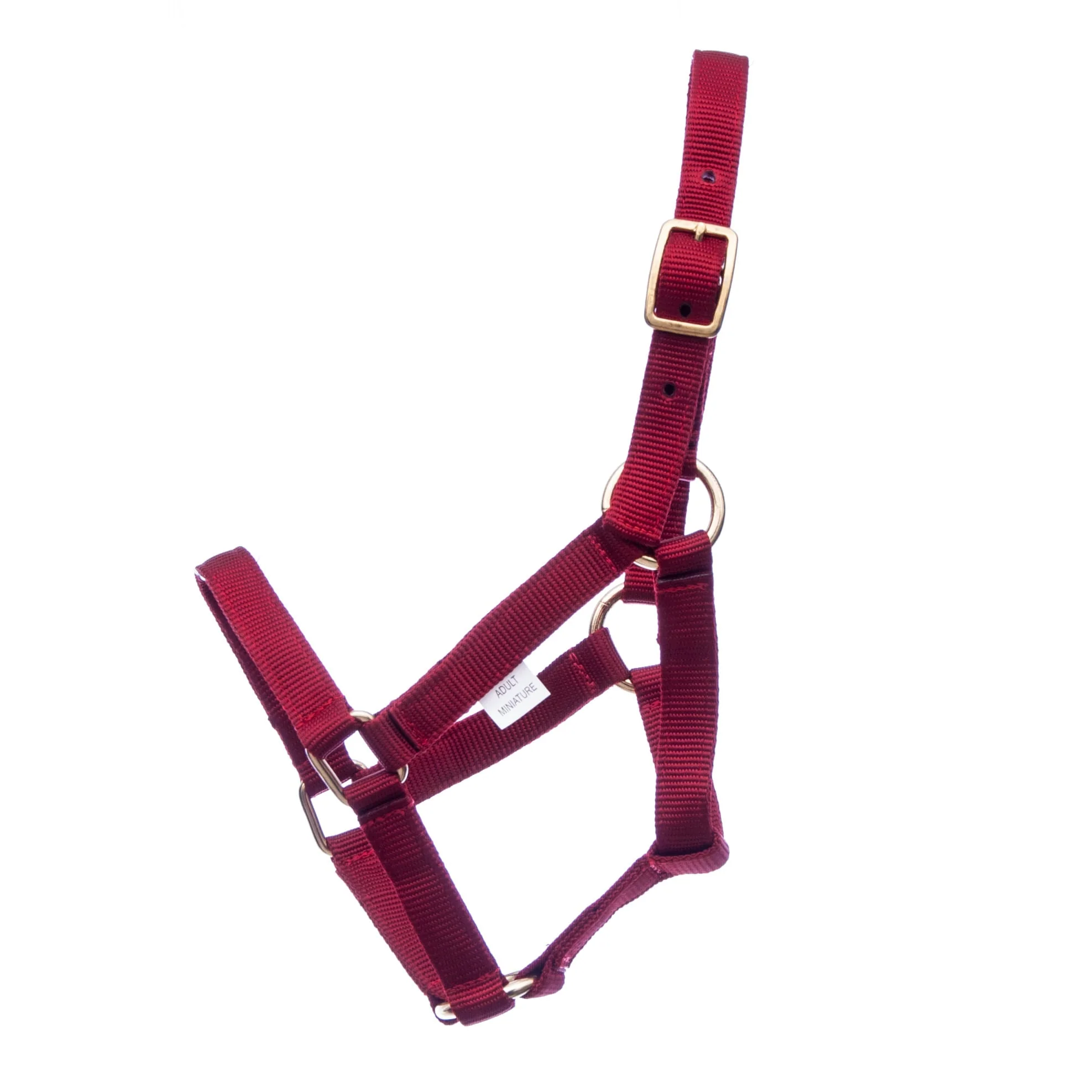Nylon Miniature Horse Halter - Healthber