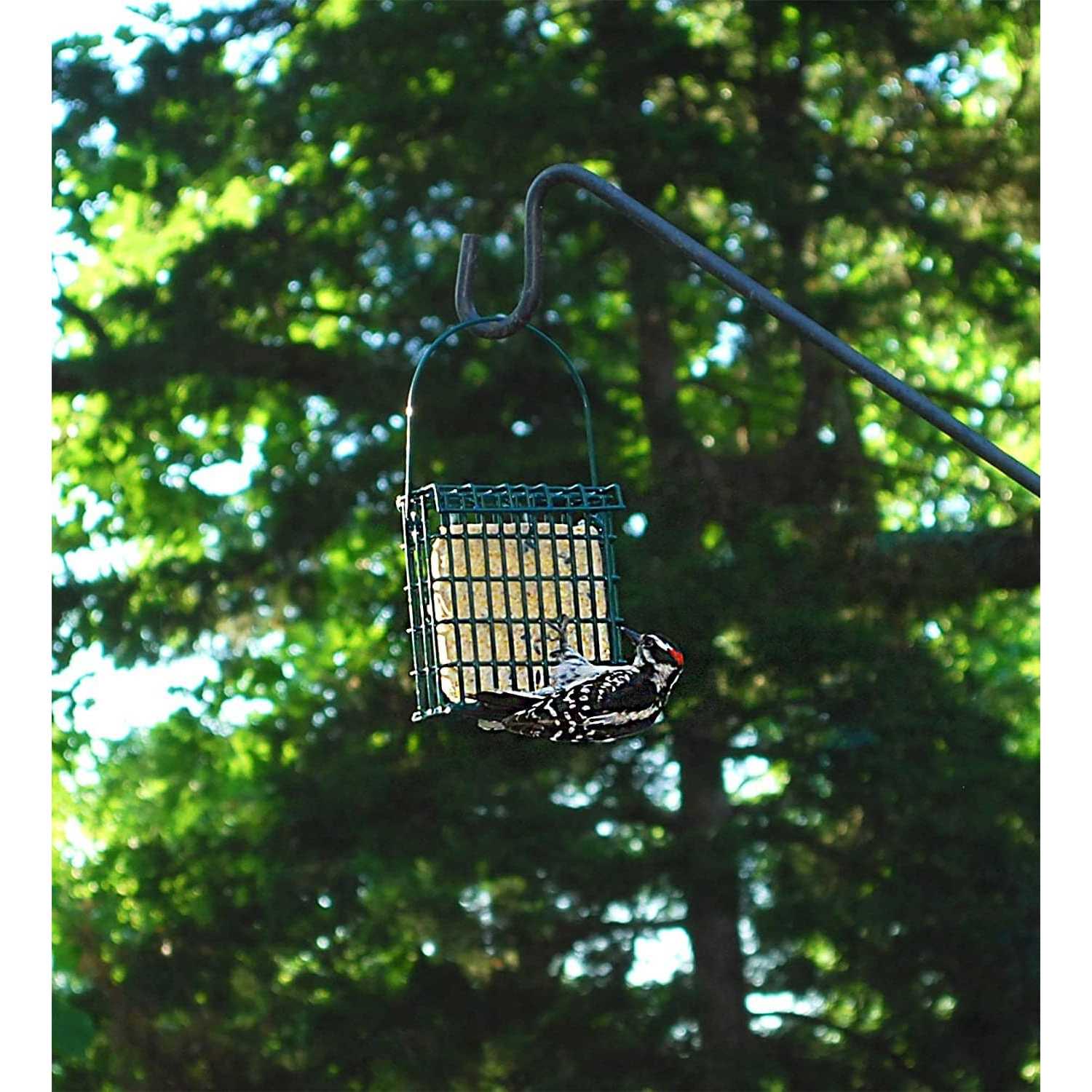 Suet Plus High Energy Wild Bird Suet - Healthber