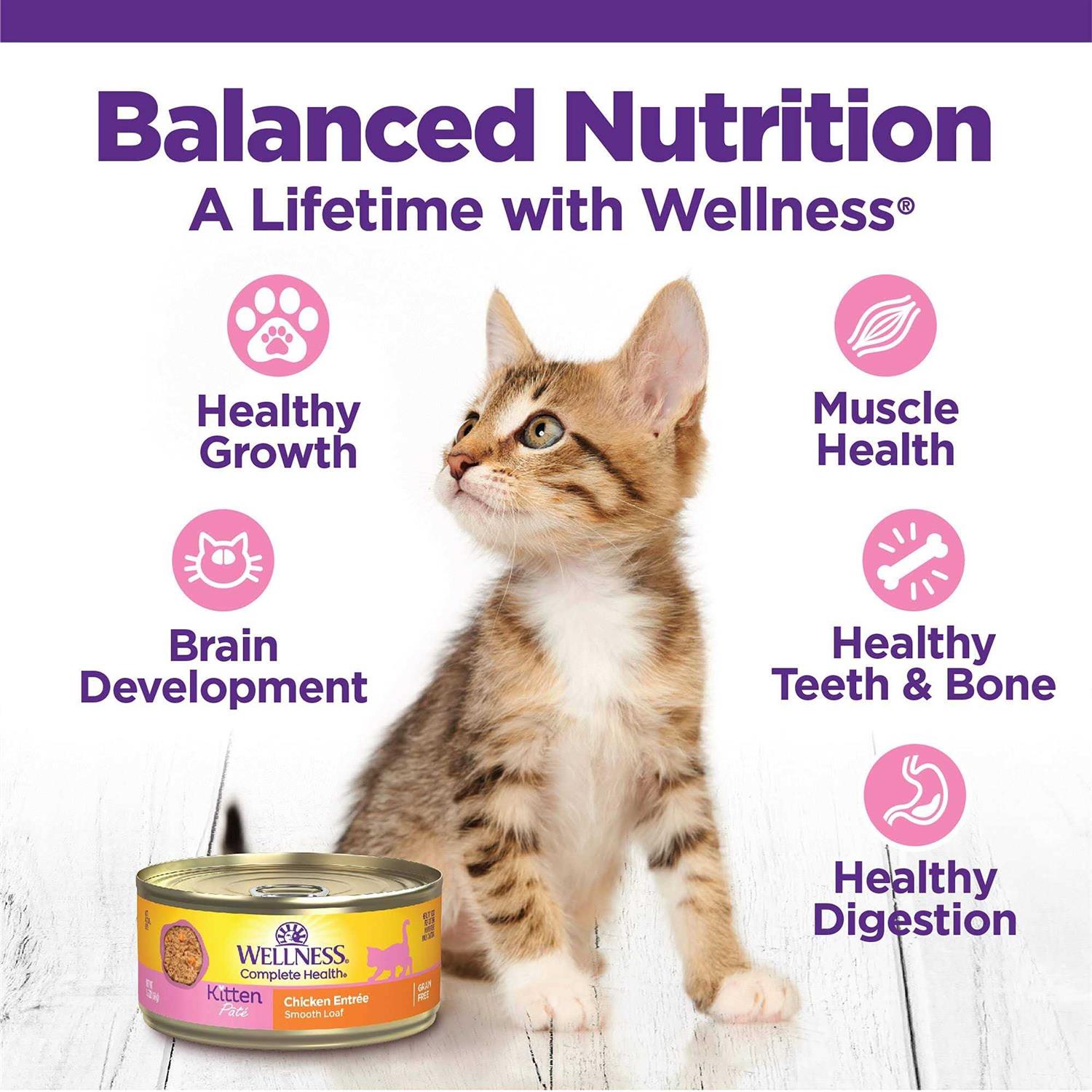Wellness Complete Health Kitten Whitefish & Tuna Wet Cat Food - Healthber