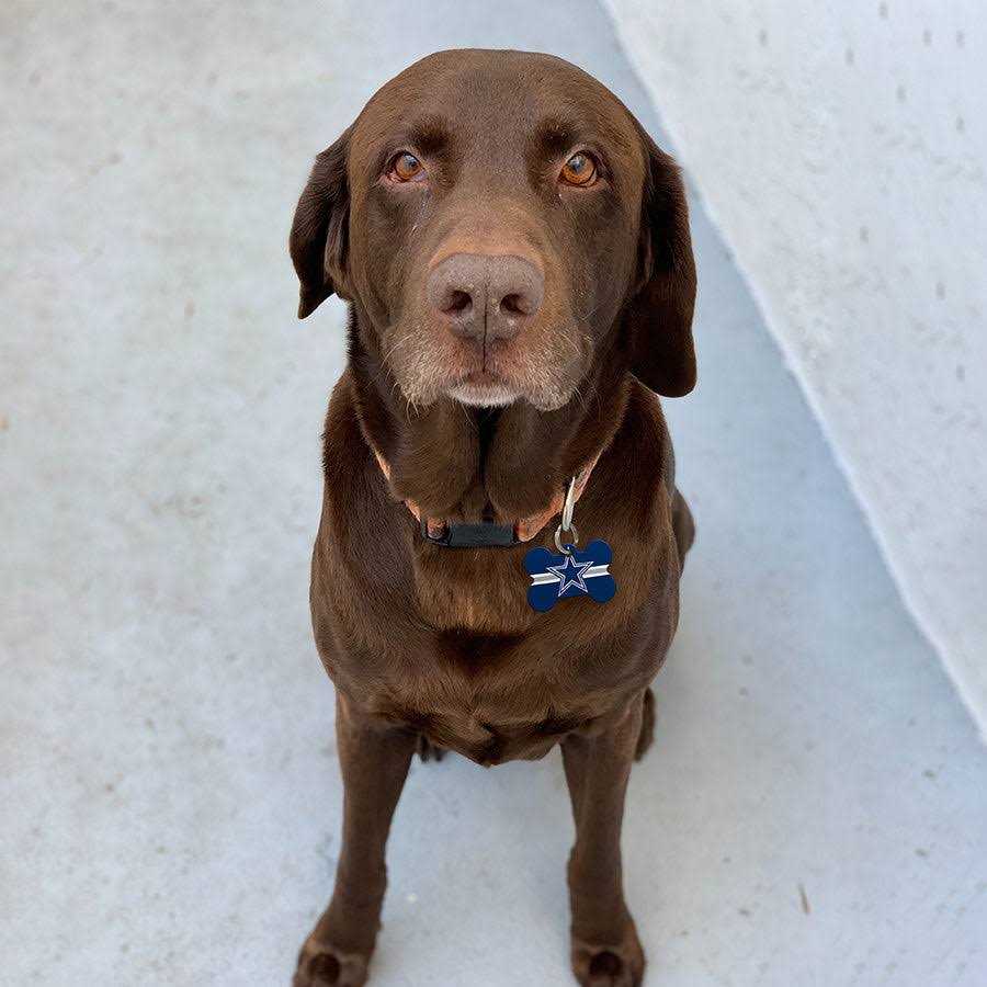 Quick-Tag Dallas Cowboys Dog ID Tag - Healthber