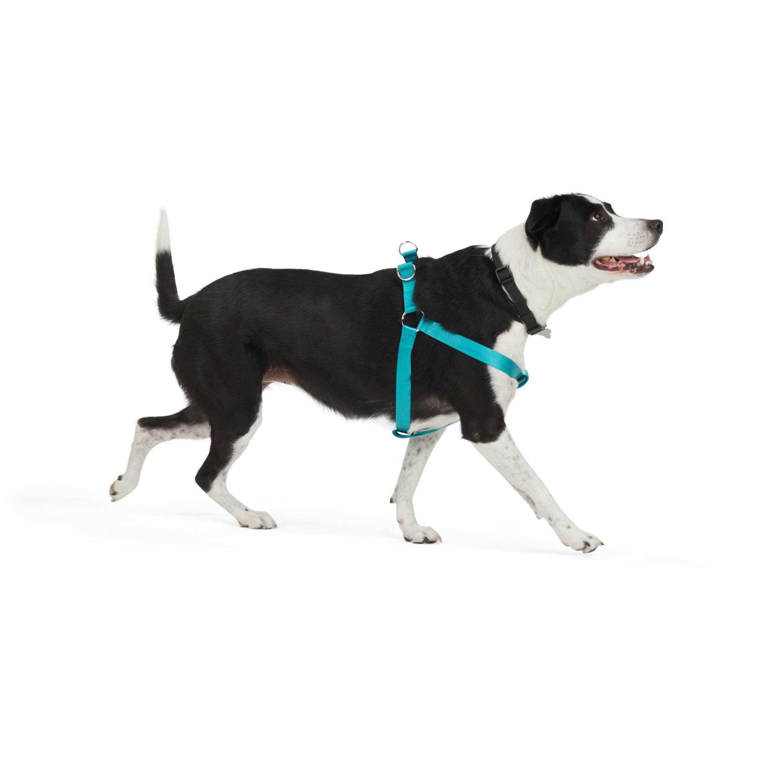 Youly Dog Harness Herringbone - Healthber