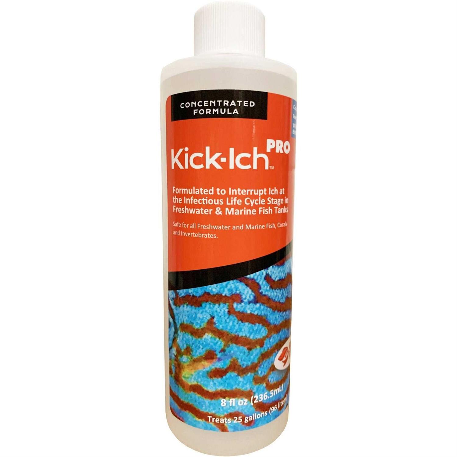 Ruby Reef Kick Ich Pro - Healthber