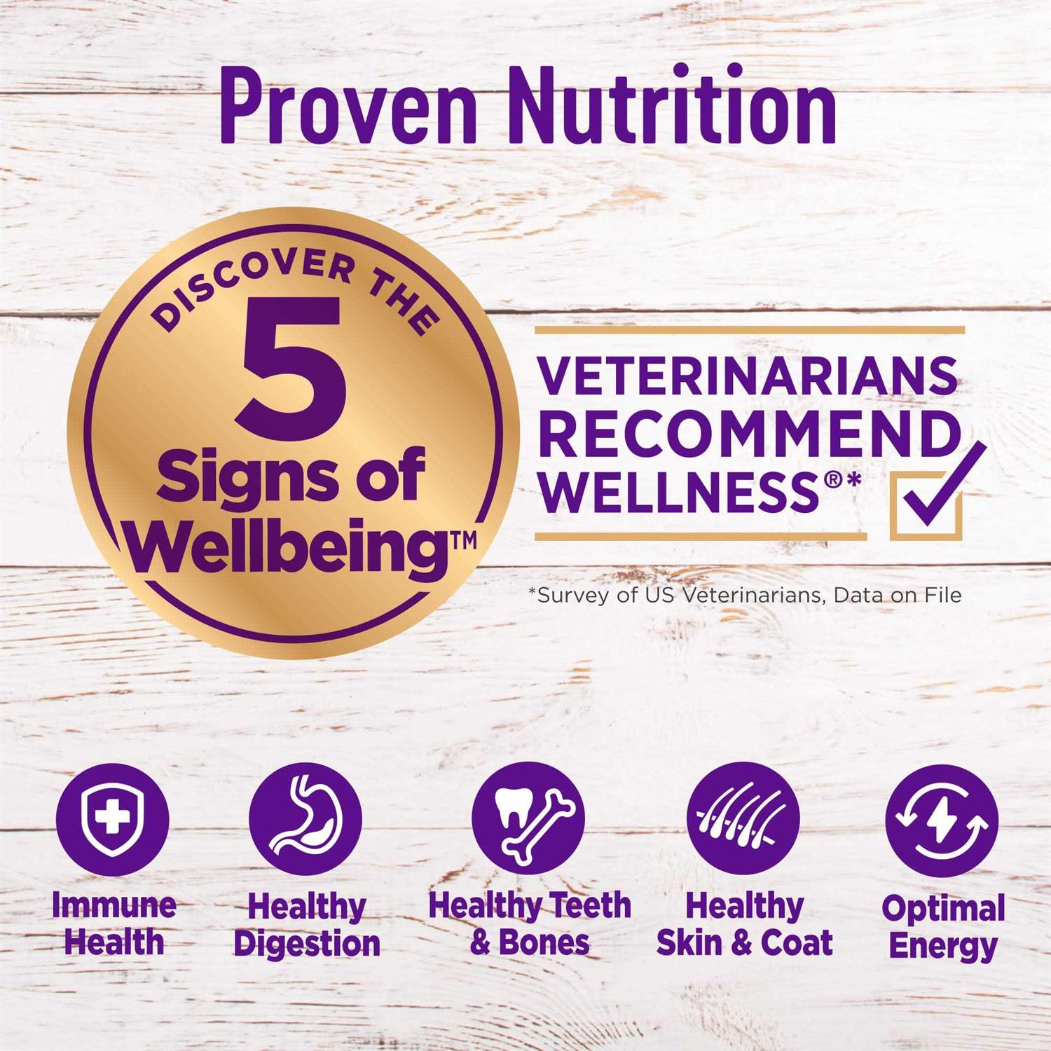 Wellness Complete Health Small Breed Senior Dry Dog Food - Healthber