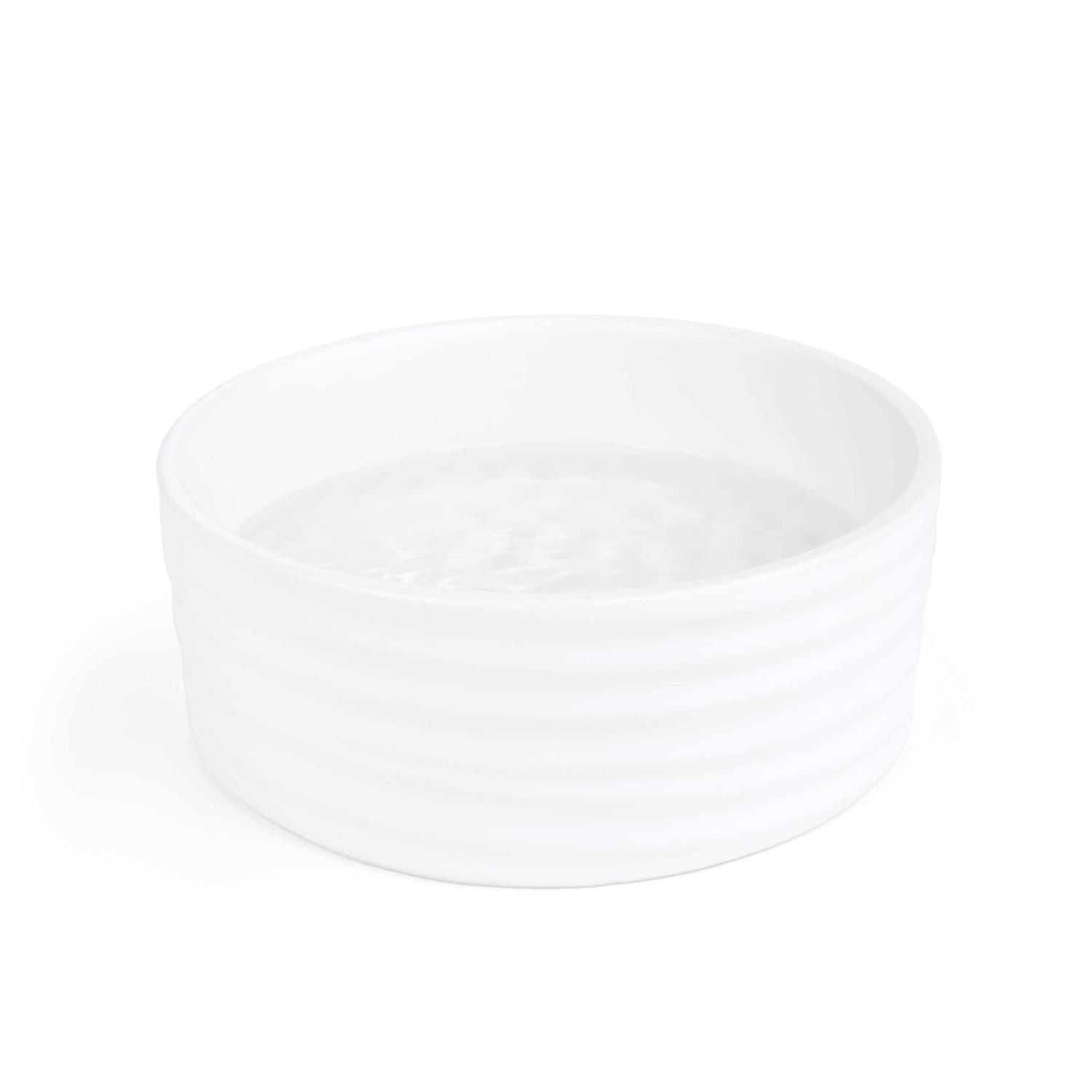 EveryYay Ceramic Wave Dog Bowl - Healthber