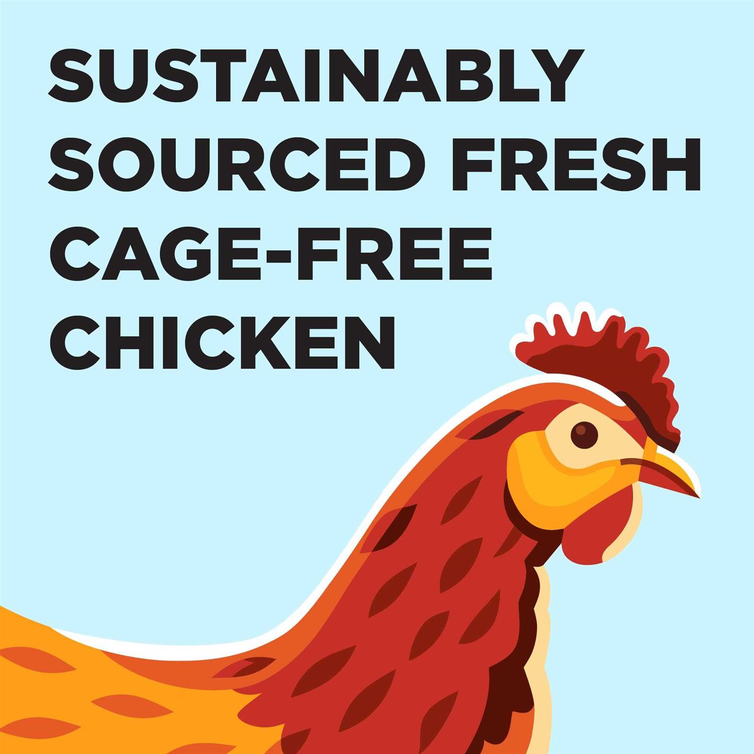 BIXBI Liberty Chicken Recipe Dry Cat Food - Healthber