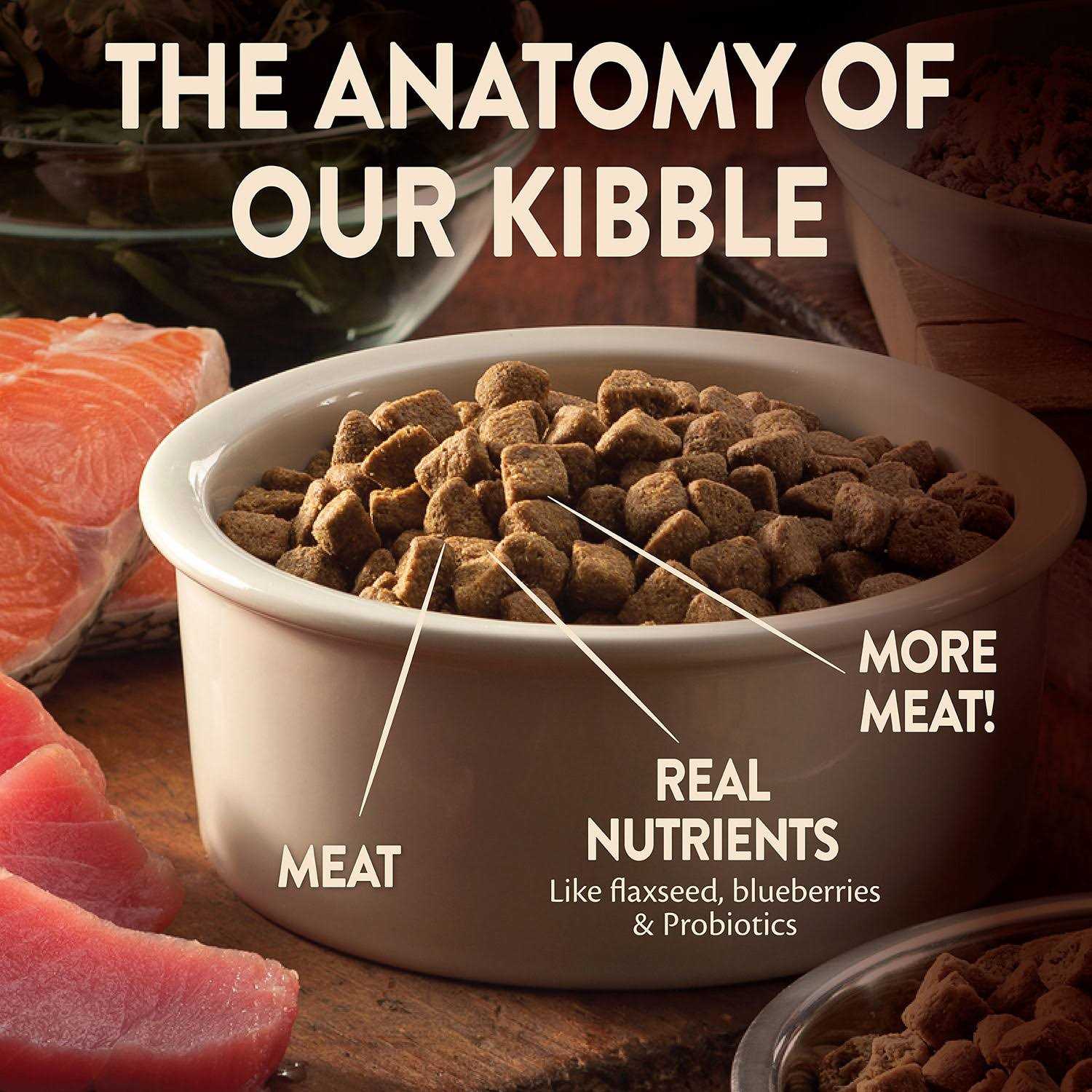 Wellness CORE Wild Game Grain-Free Dry Dog Food - Healthber