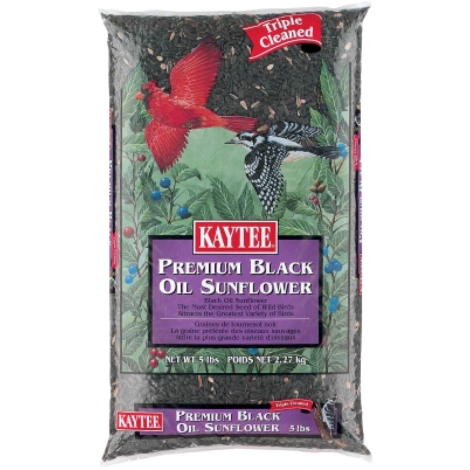 Kaytee Black Oil Sunflower Food - Healthber
