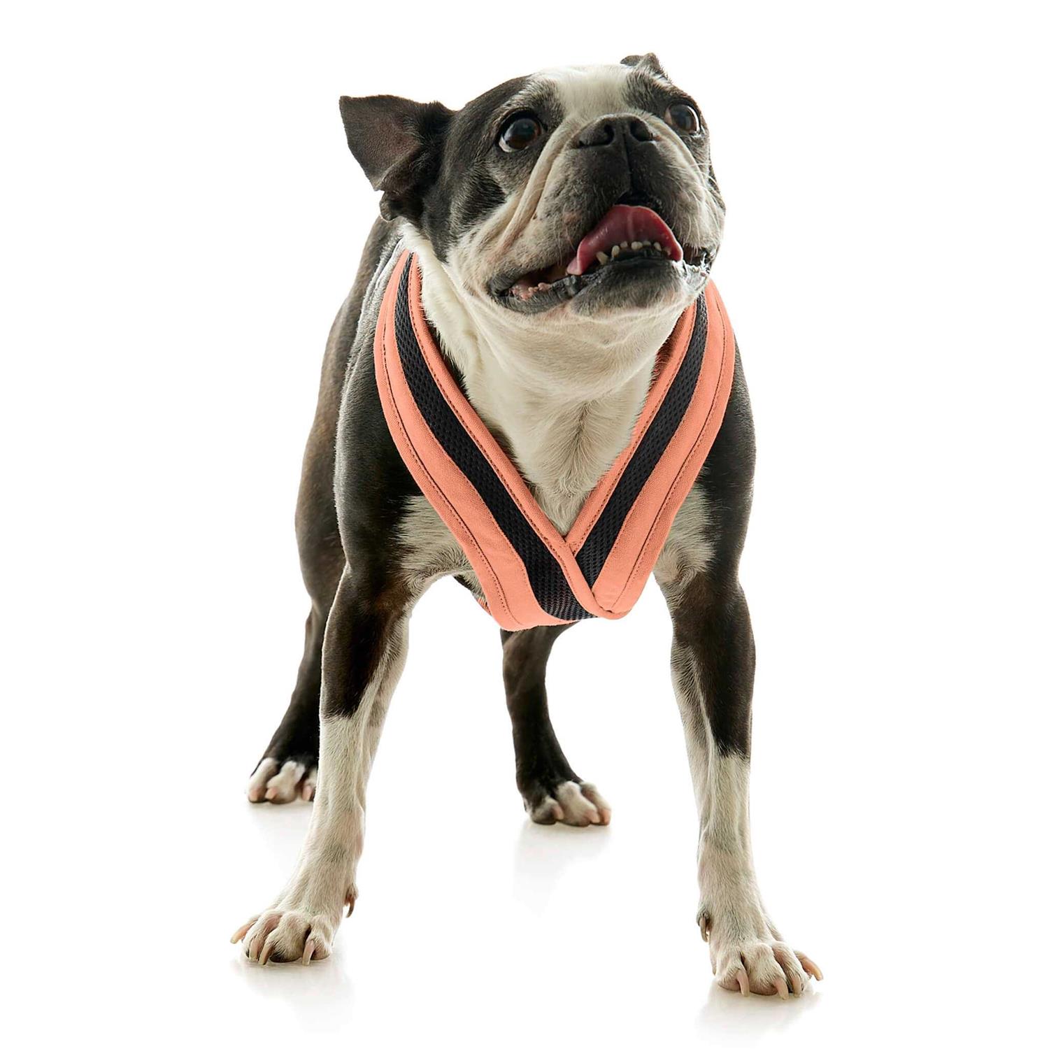 Gooby Escape Free Comfort X One Dog Harness - Healthber