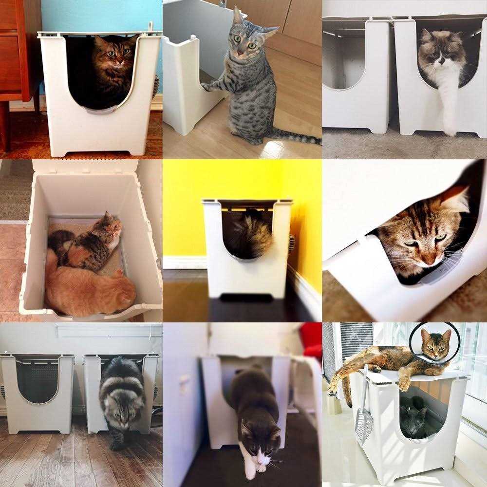 Modkat Flip Litter Box with Scoop and Reusable Liner - Healthber