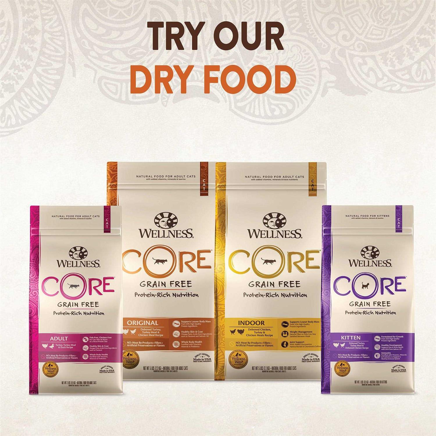Wellness Core 95% Cat Food - Healthber