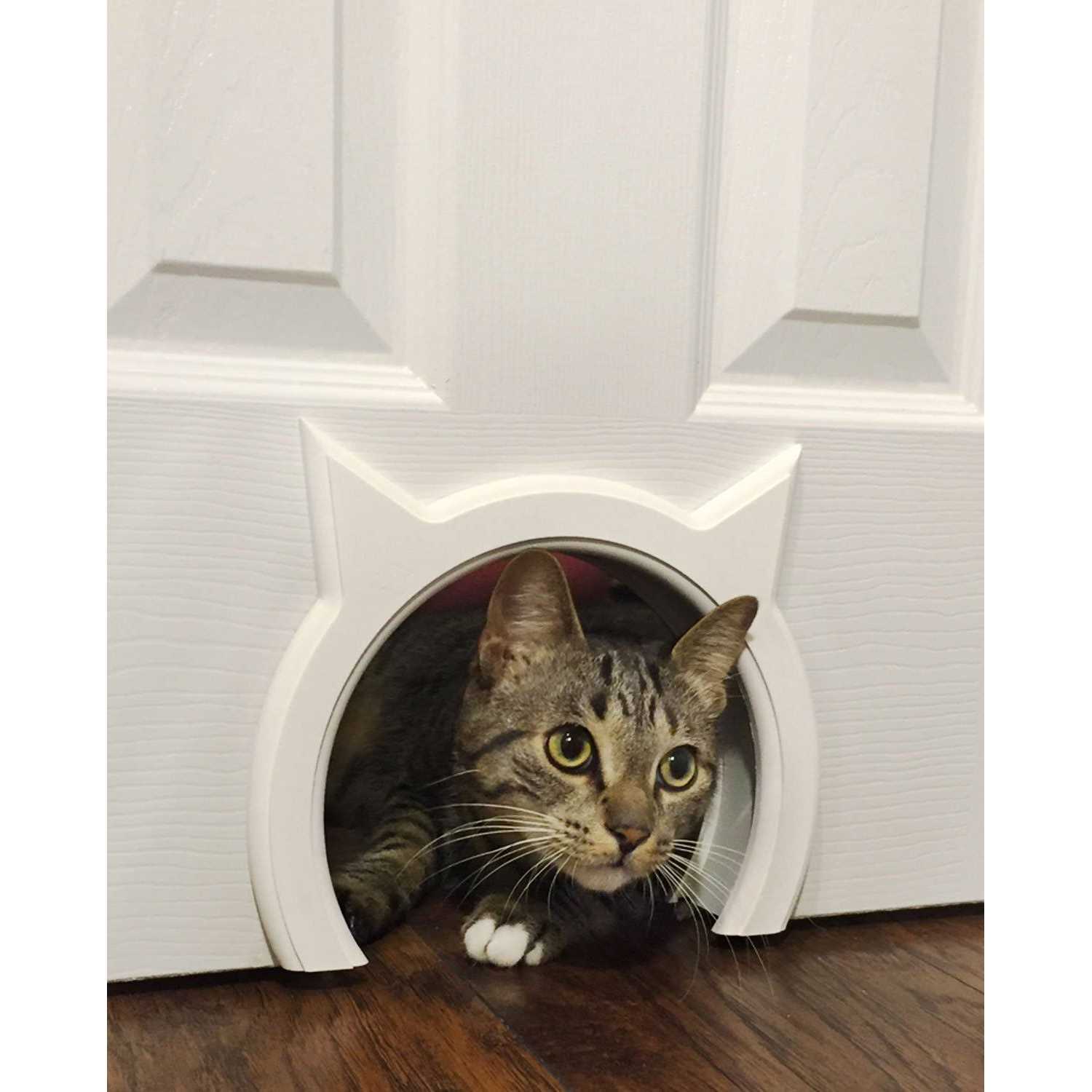 The Kitty Pass Interior Cat Door Hidden Litter Box Pet Door for Cats up to 21 lbs Pet Box - Healthber