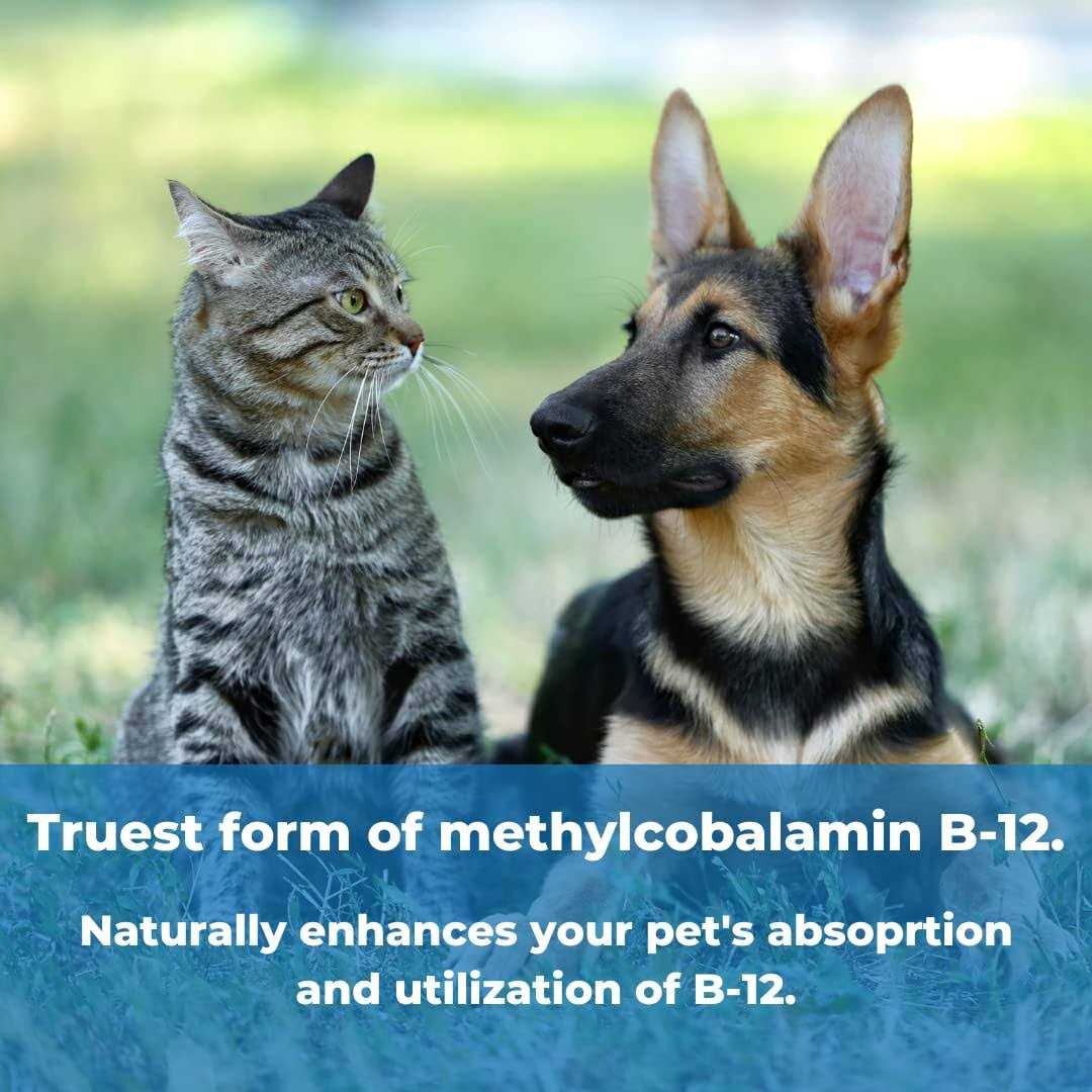 Wonder Laboratories Pet Factor B-12 B-12 - Healthber