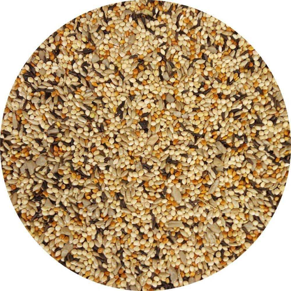 Wagner’s 10 lb. Finches Deluxe Wild Bird Food - Healthber