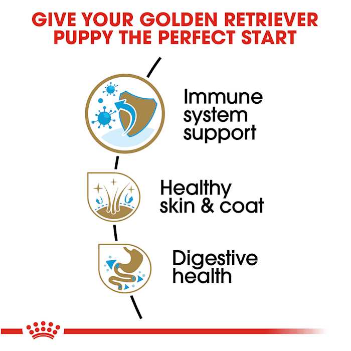 Royal Canin Golden Retriever Puppy Dry Dog Food - Healthber