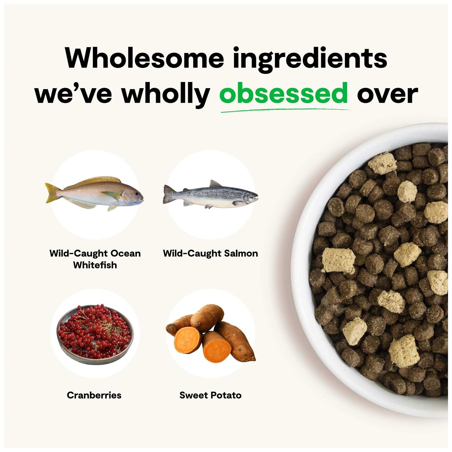 Open Farm RawMix Wild Ocean Grain-Free Dog Food - Healthber